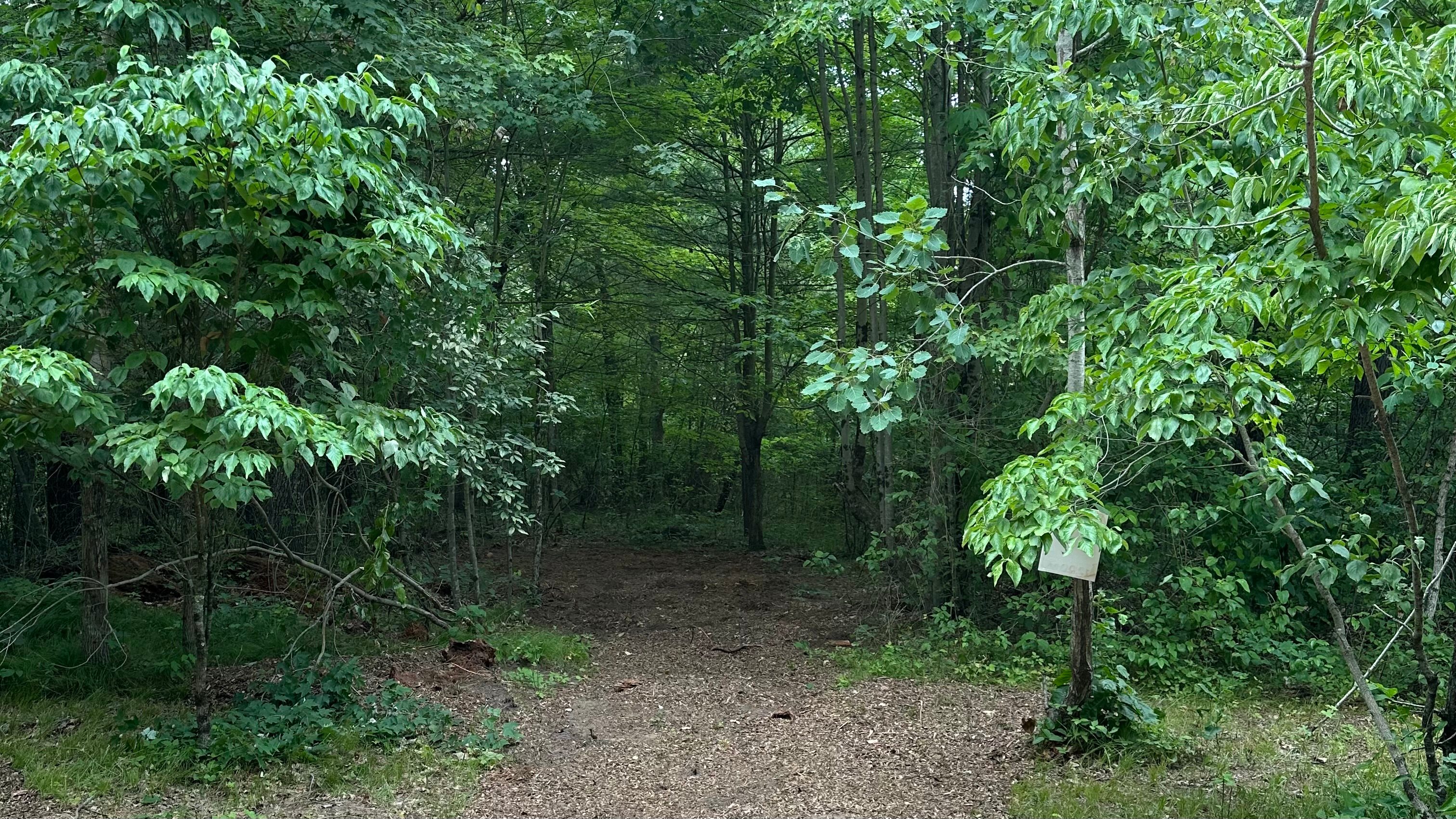 Entrance to site #3. Entrance is 7.5’ across. Dimensions of site is 20’x40’. The most spacious of the sites. Currently there is no site number sign. 