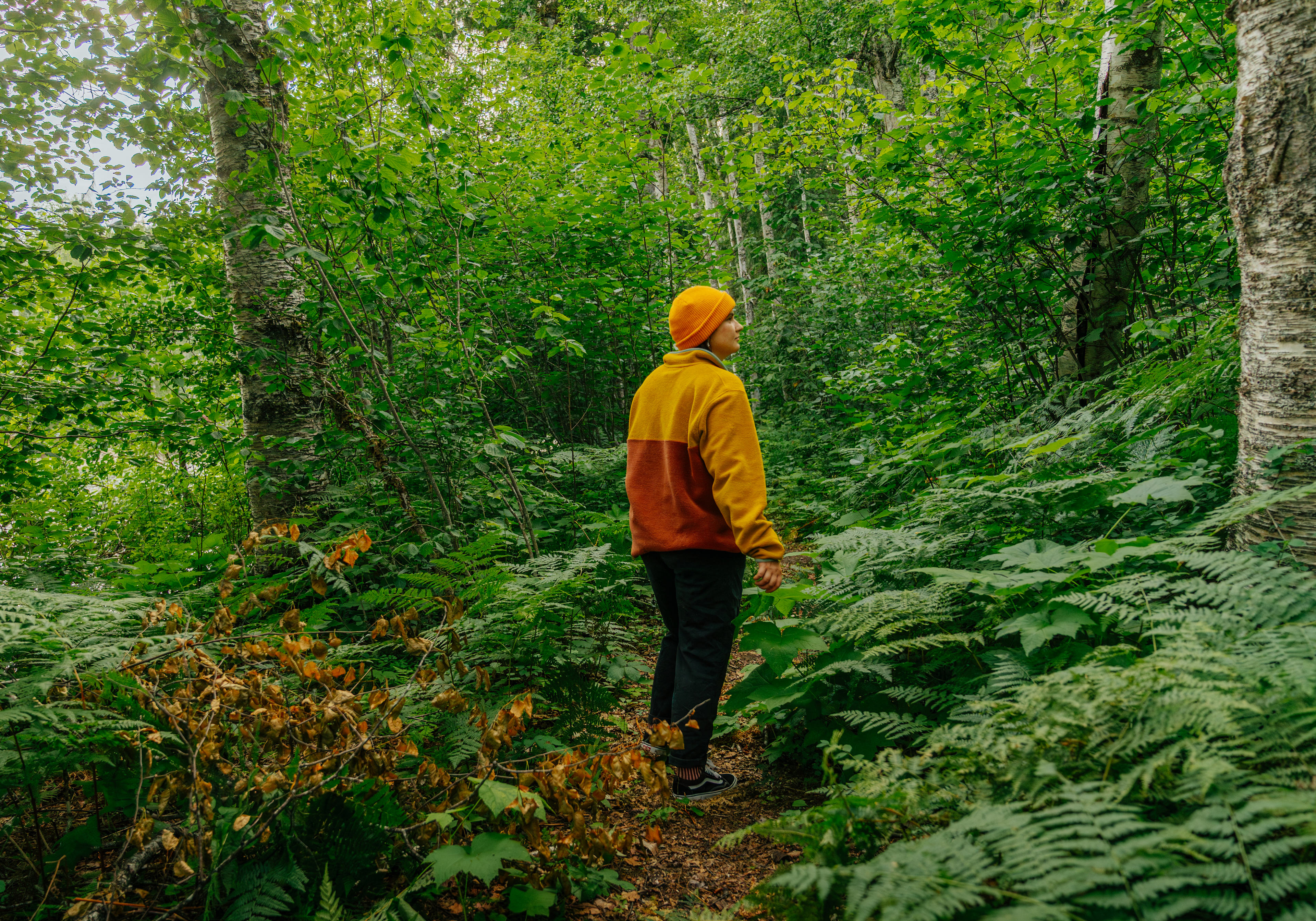 Peaceful Vibes Camping (off-grid)