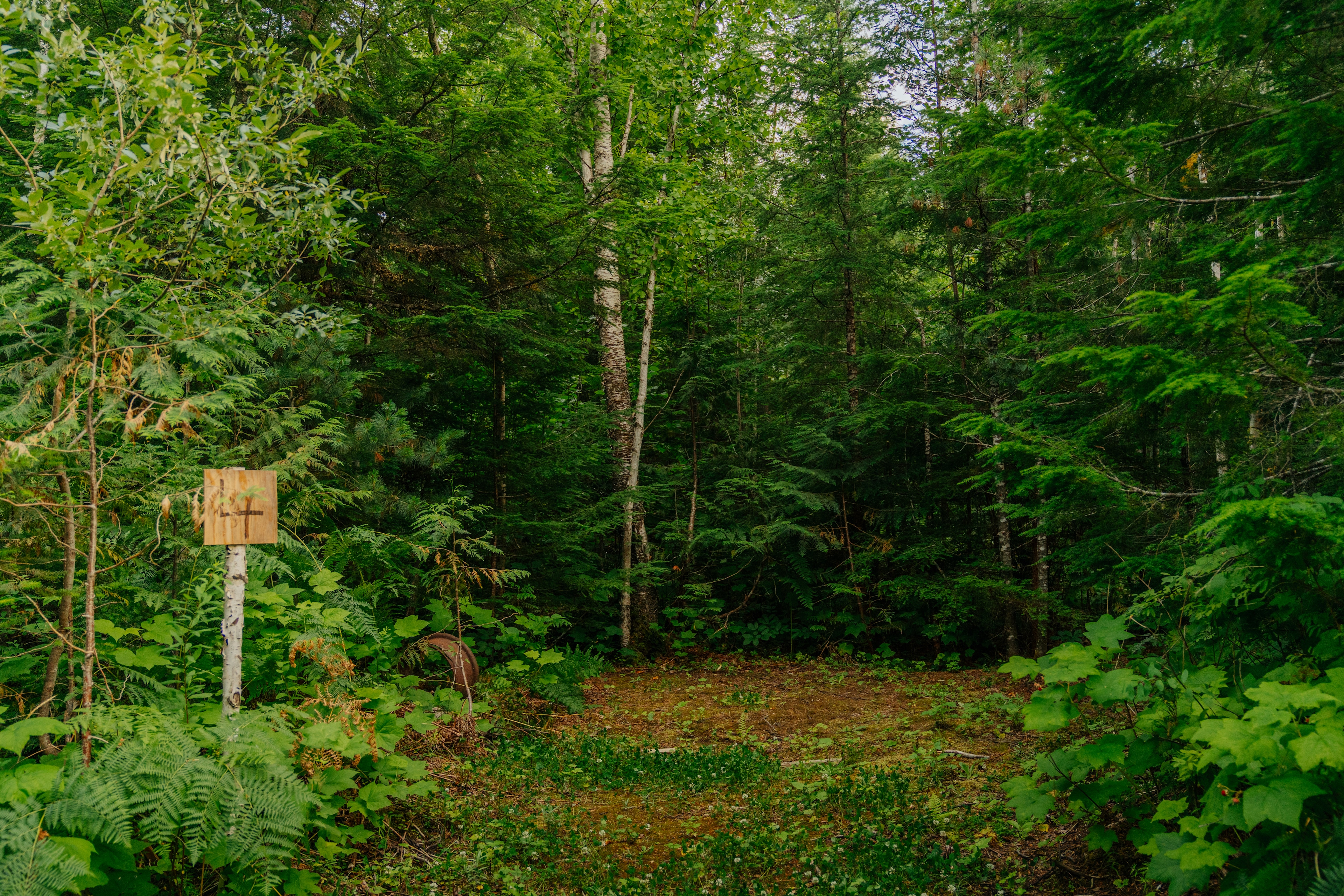 Peaceful Vibes Camping (off-grid)