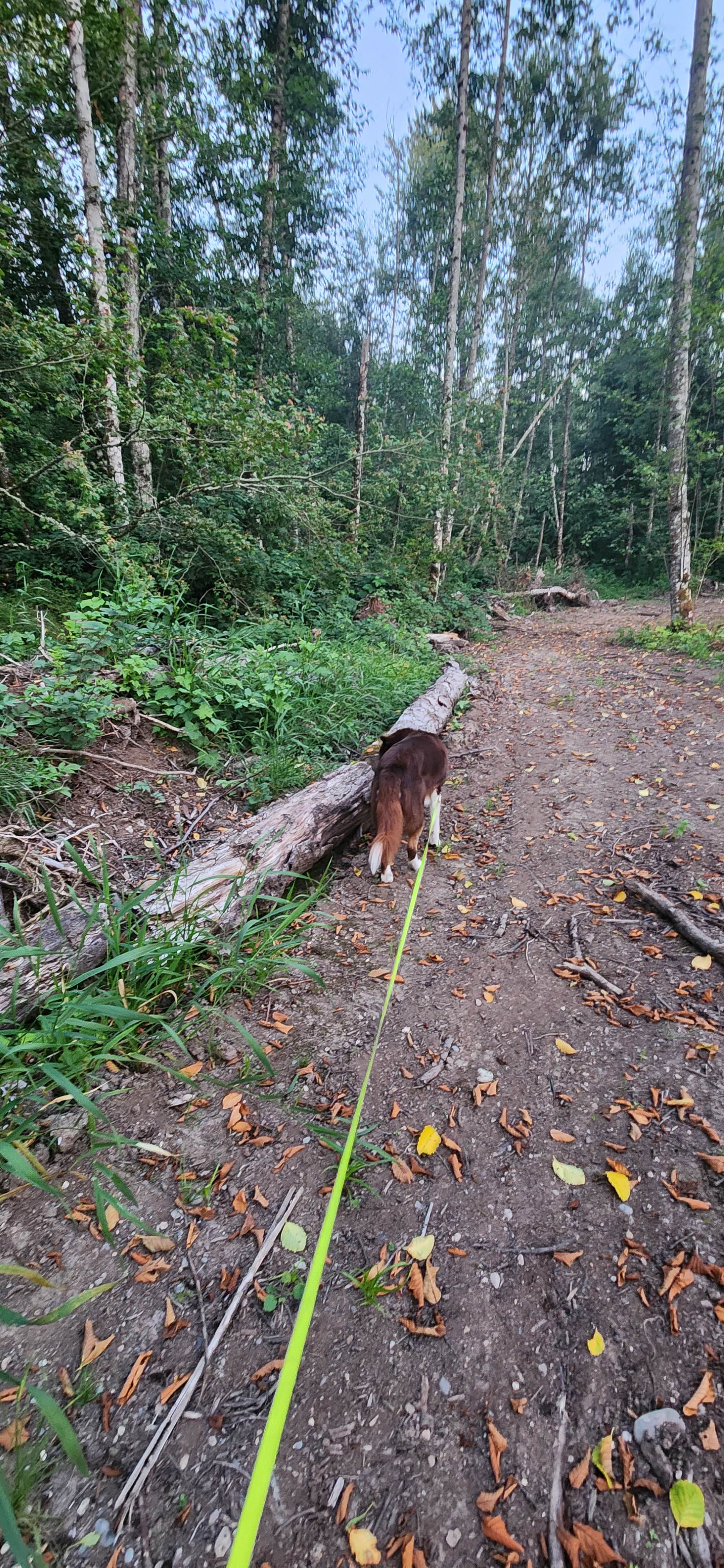 Exploring