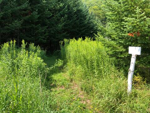 Picturesque homestead