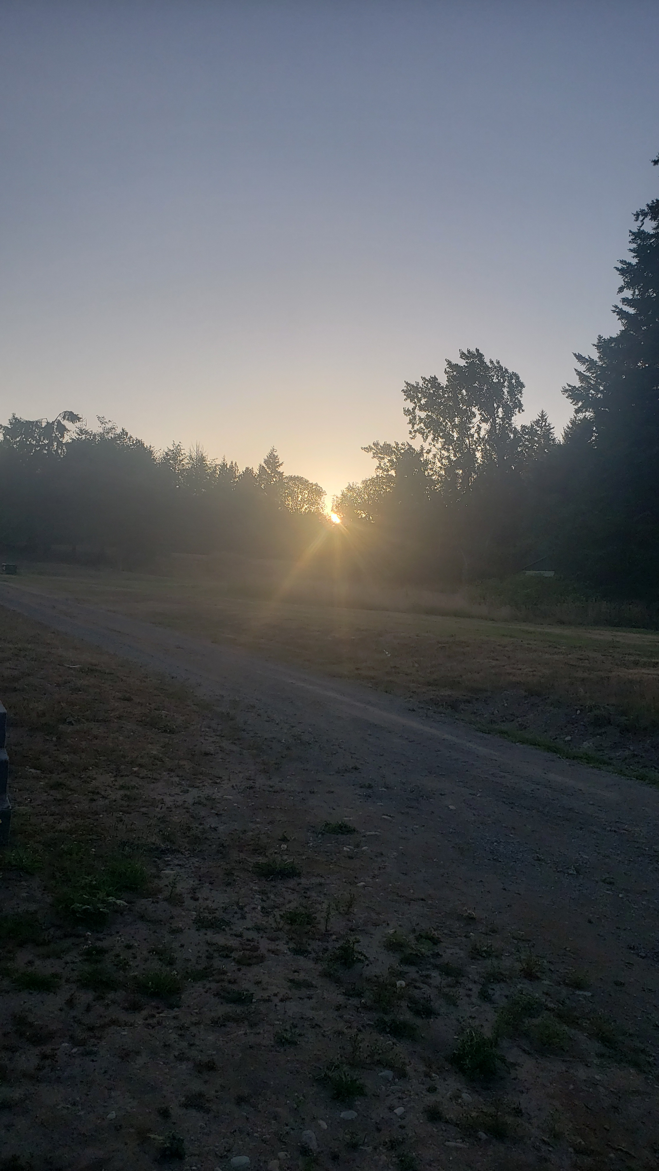 Black Swan RV & Camping