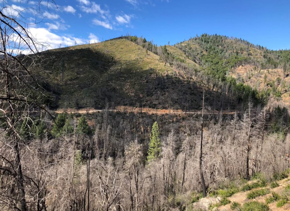 Lakehead Creek Retreat