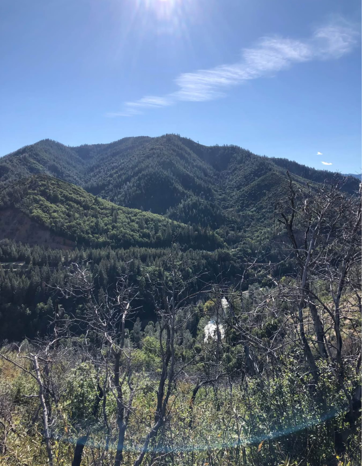 Lakehead Creek Retreat
