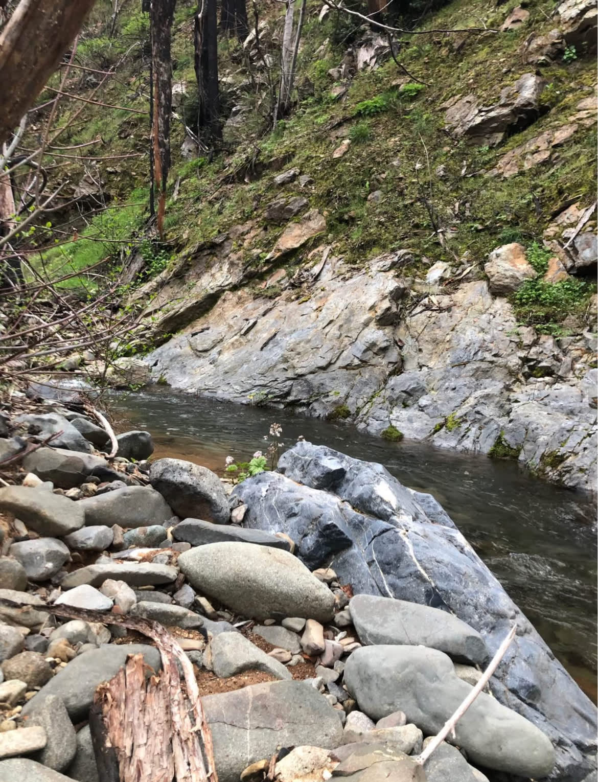 Lakehead Creek Retreat