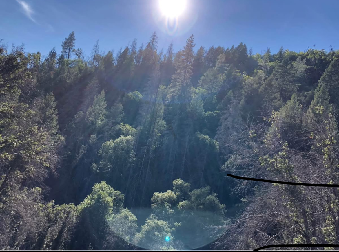 Lakehead Creek Retreat