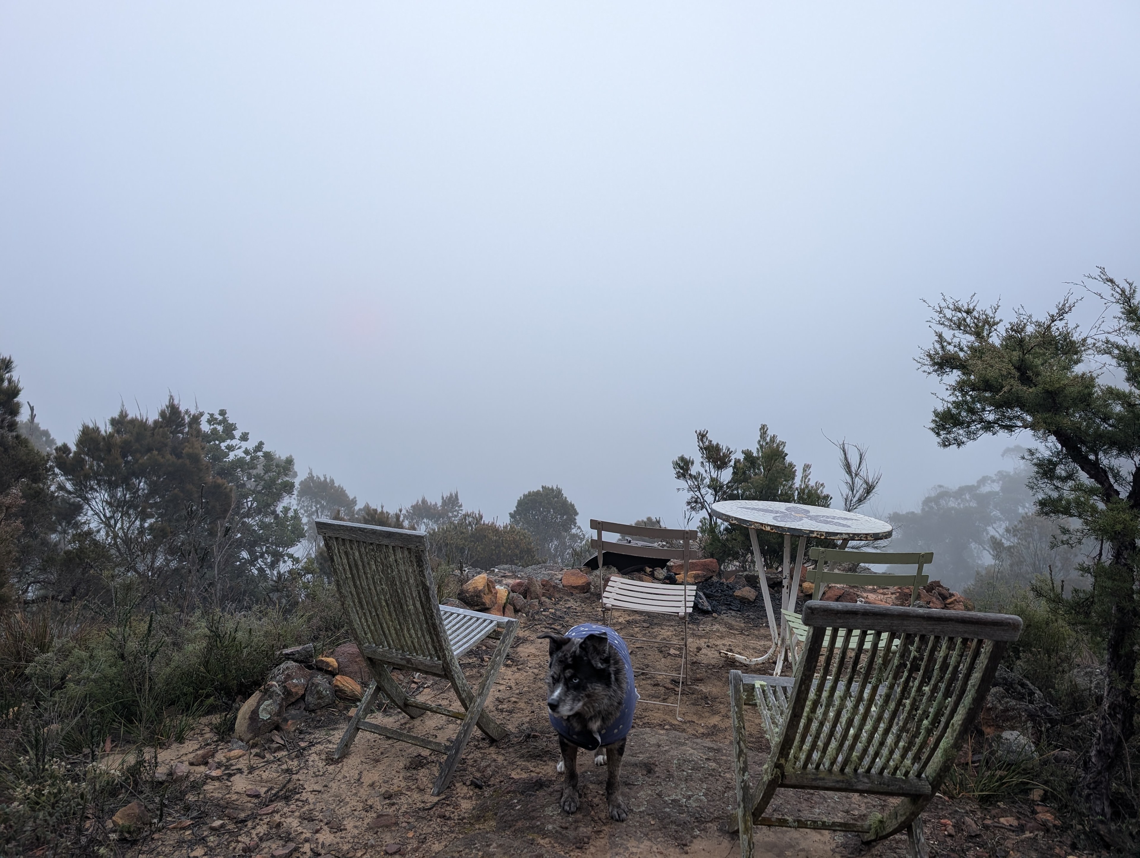 Joadja Gorge Retreat & Camping