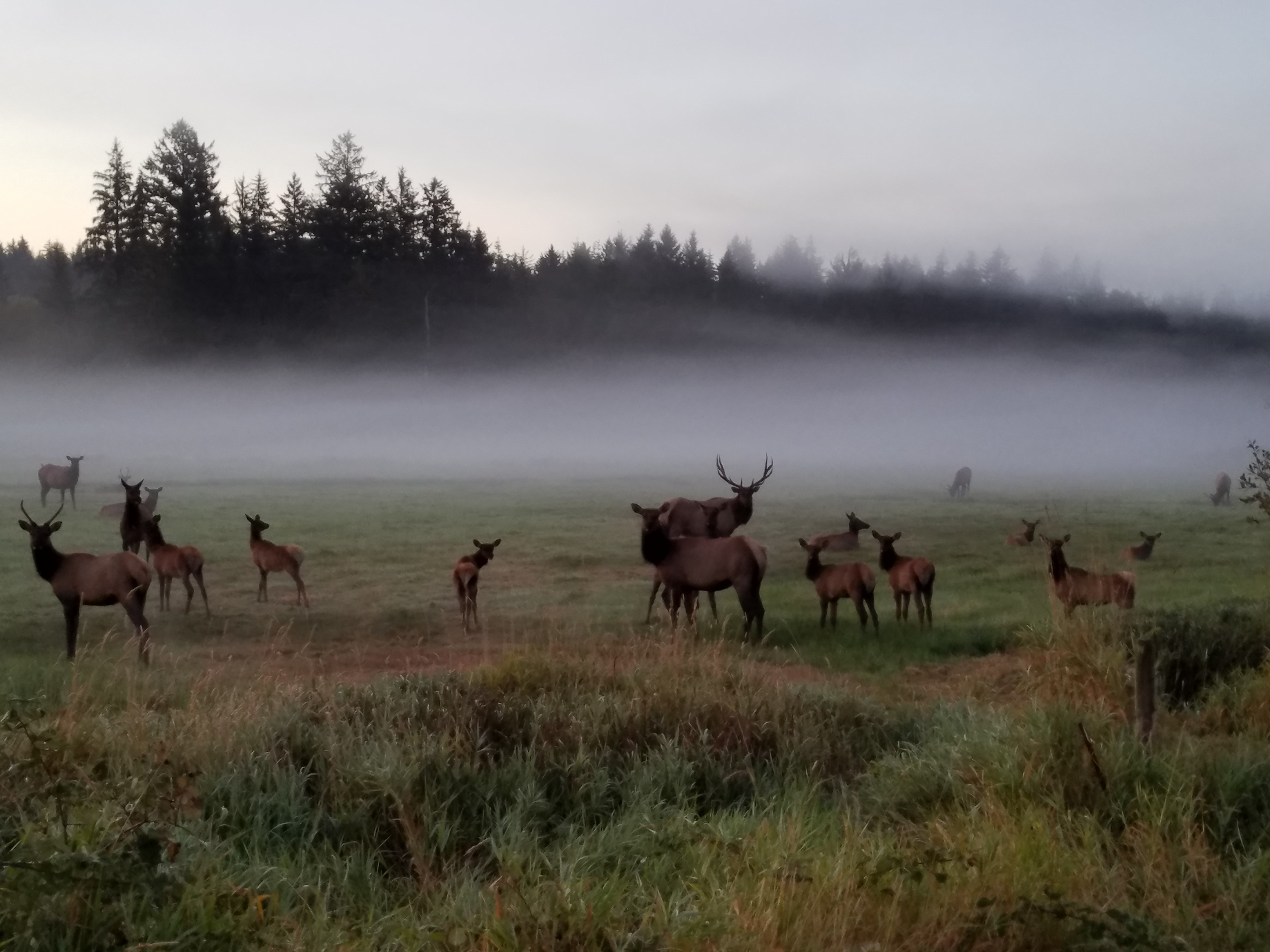 LBC Farm & Horse Camp