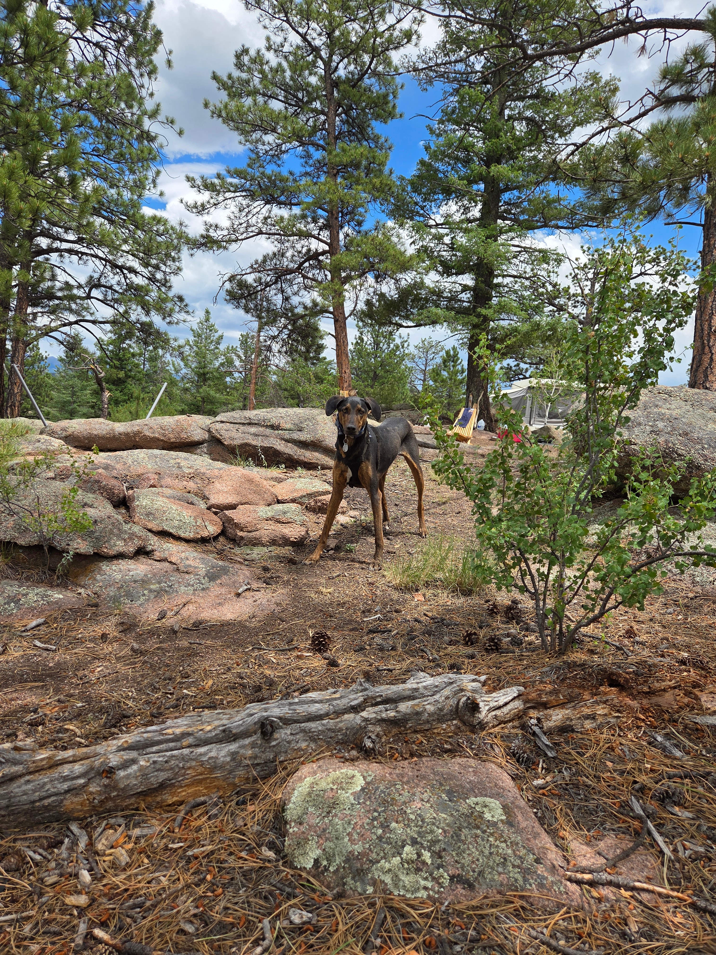 H Acres Wall Tent on 20 acres