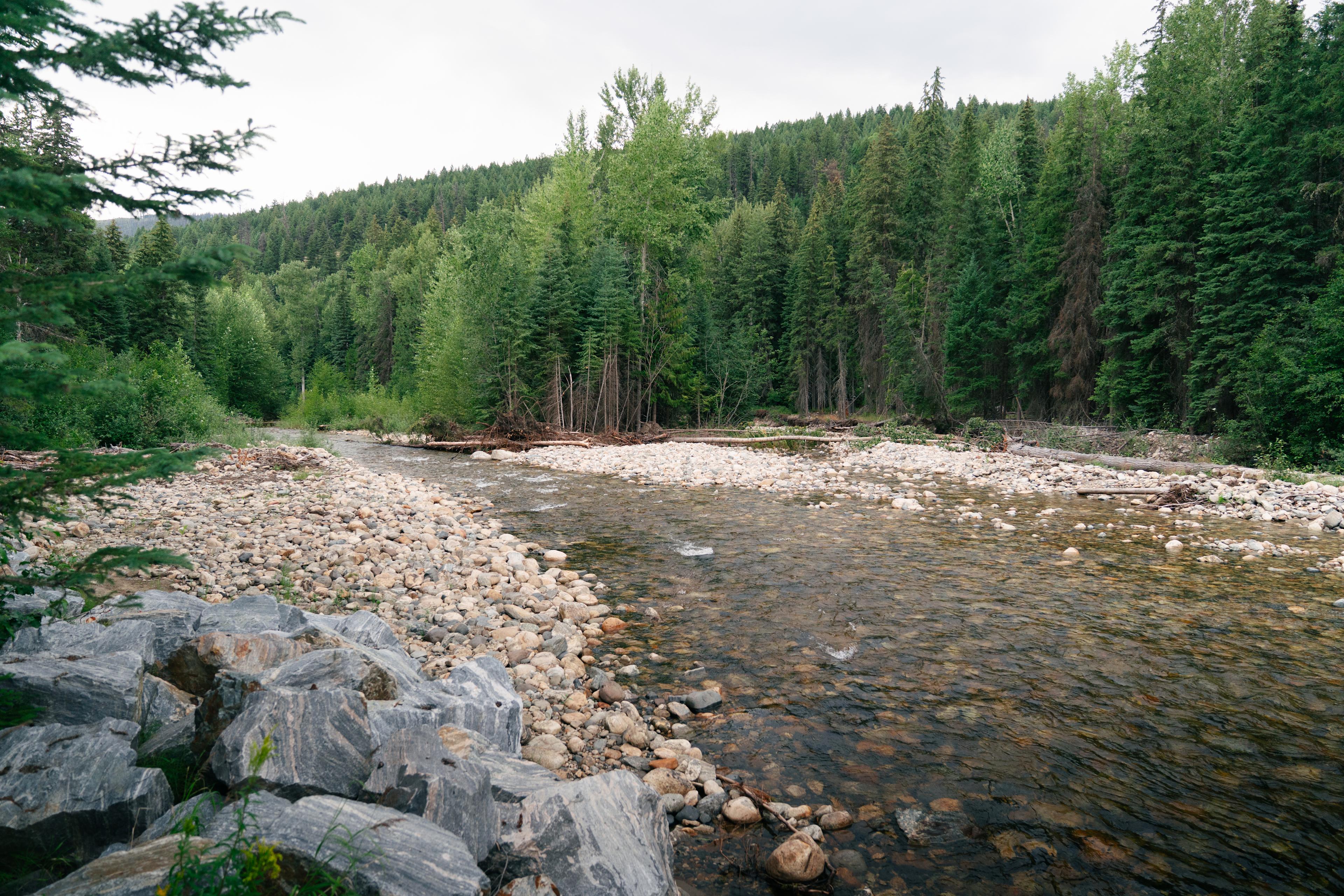 Charming Creekside Caravan
