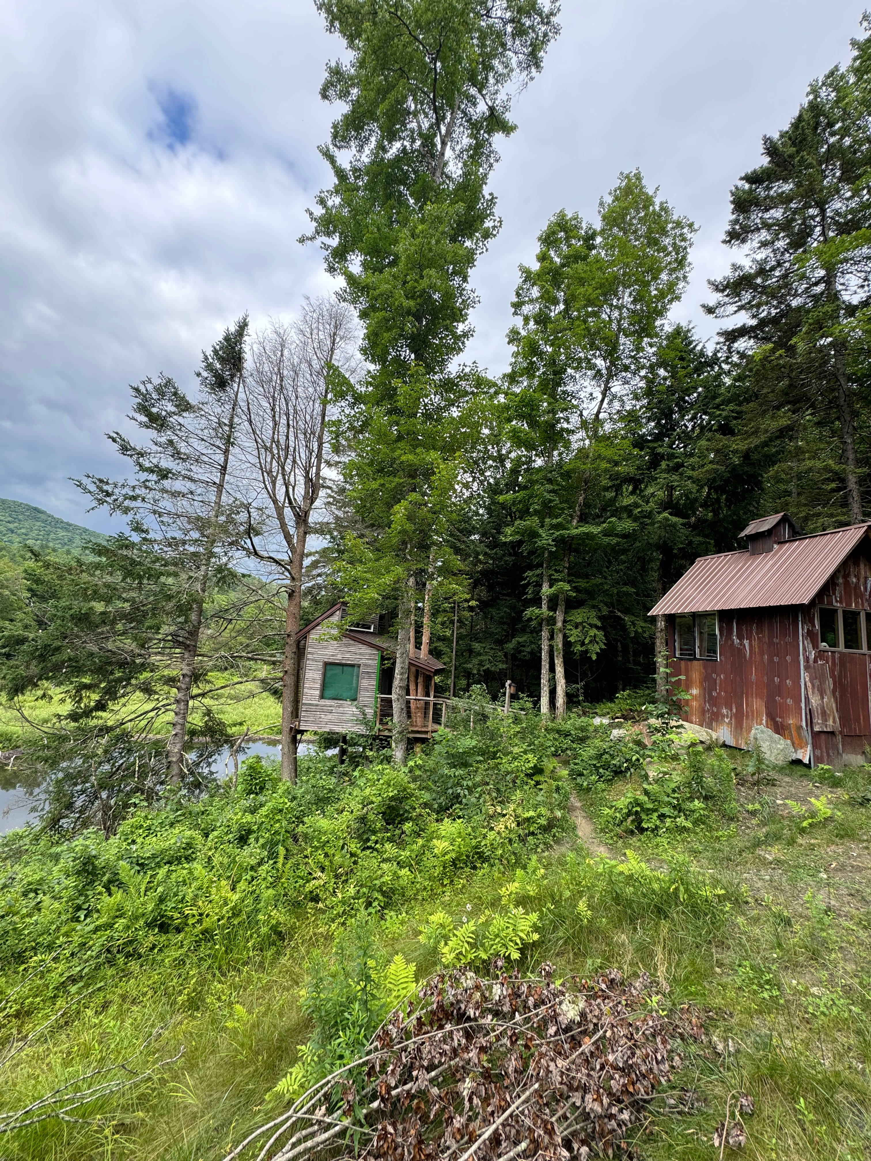 Beaverpond Treehouse