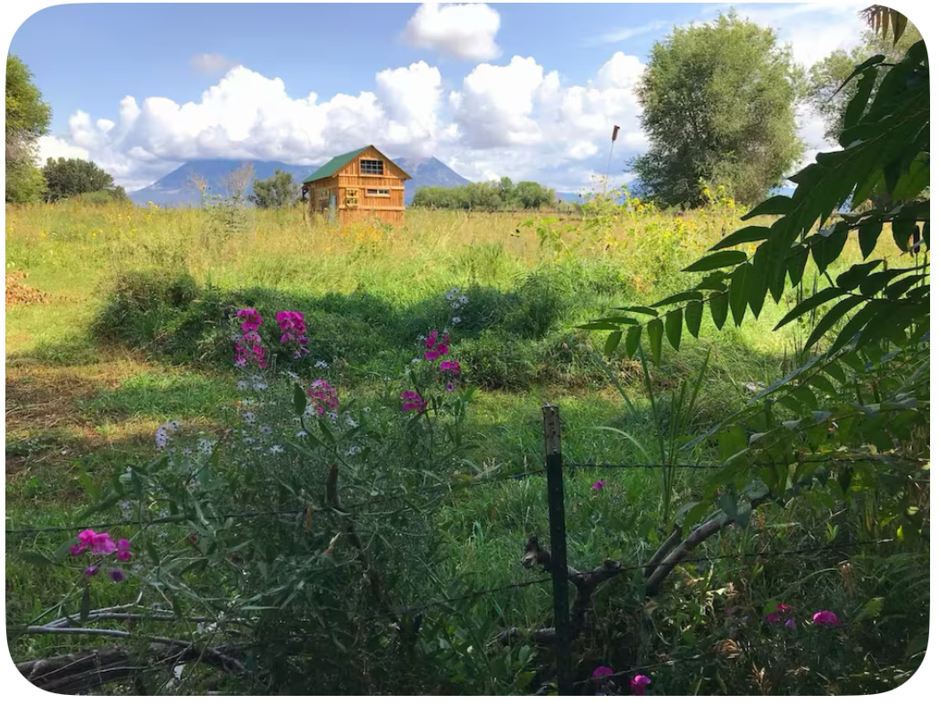 Luna Vista Cabin & Camping