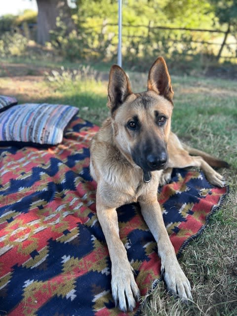 Far and Away Camping