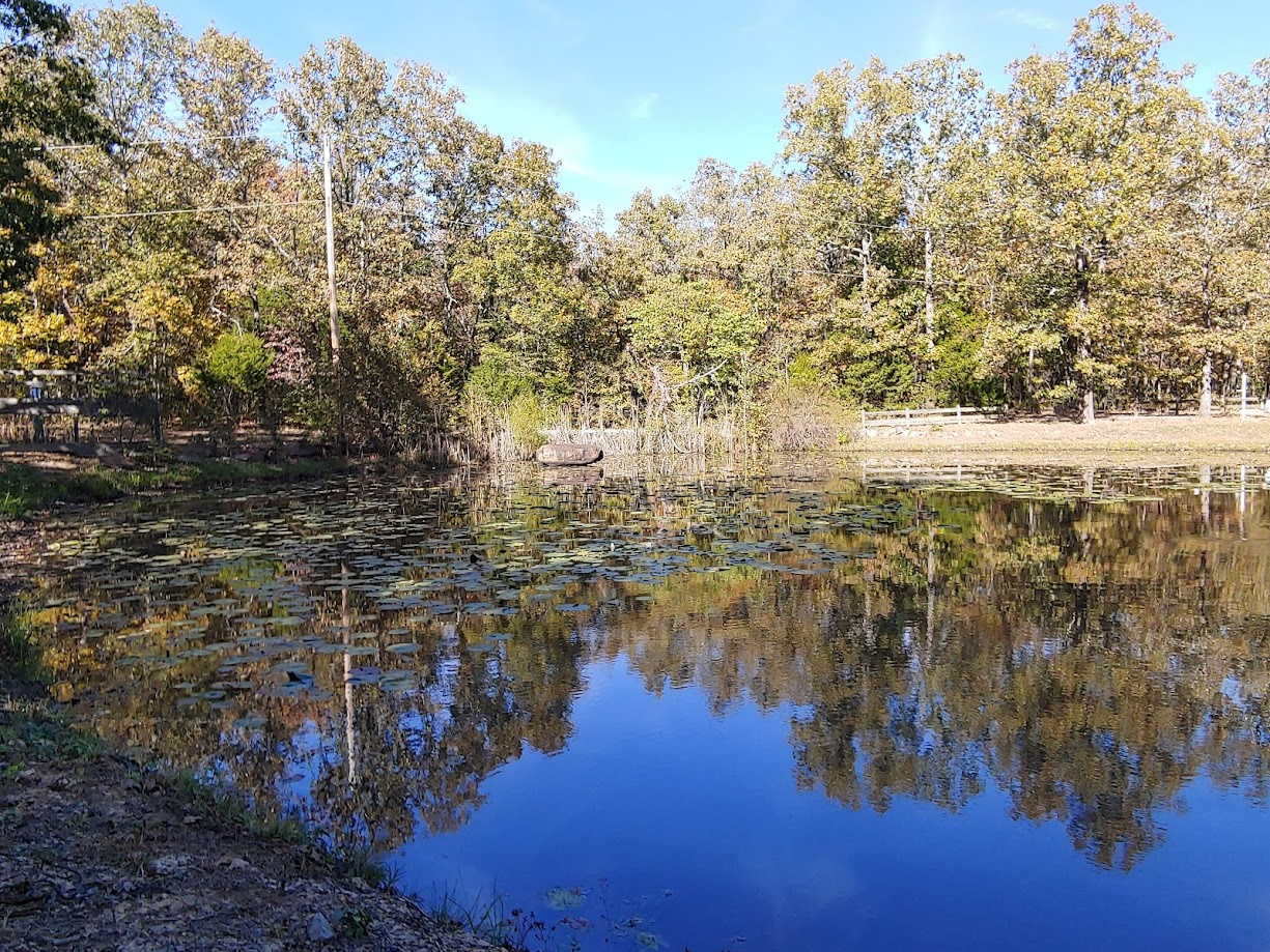 Missouri Tent & Camper Site