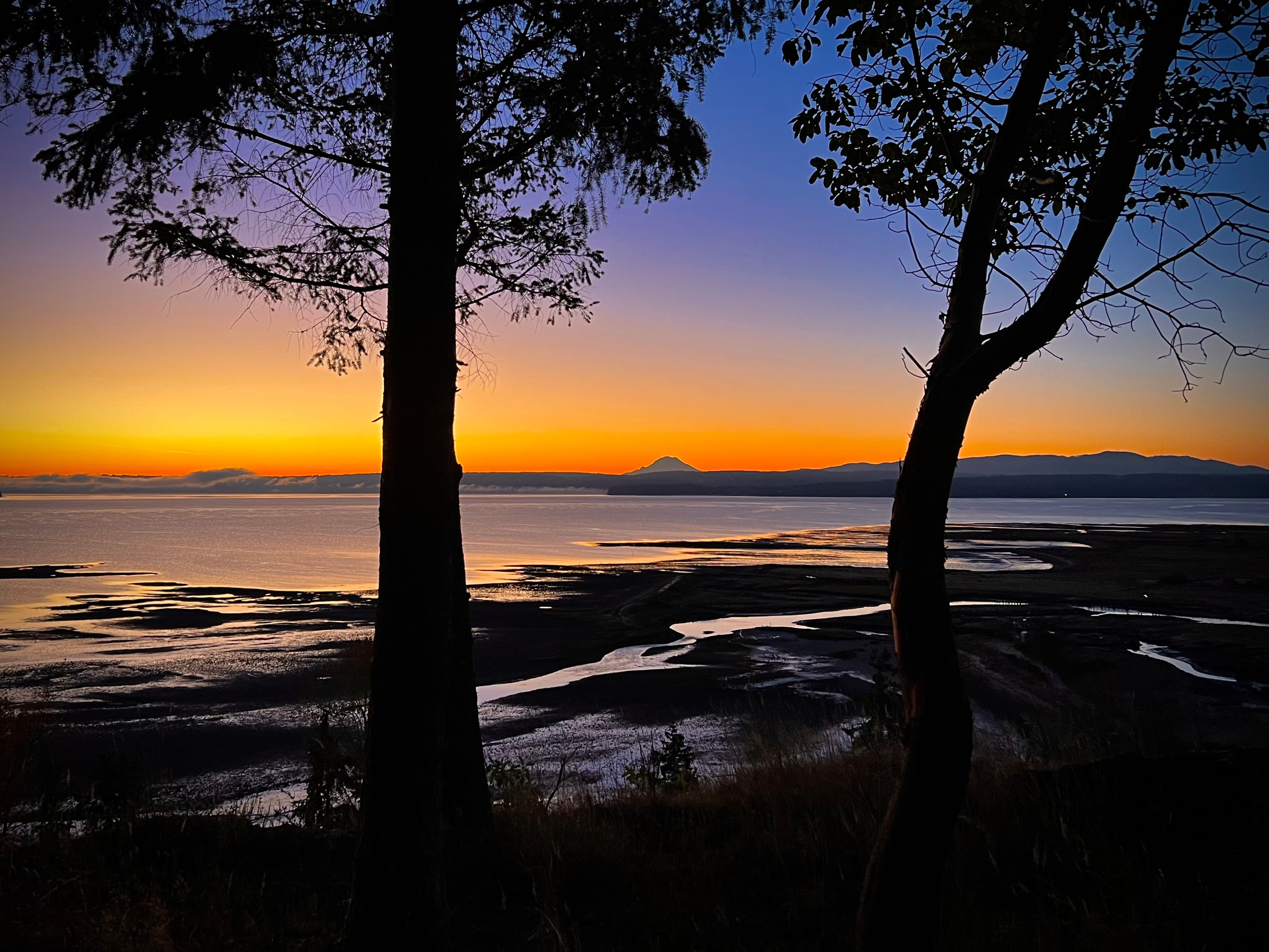 Hood Canal Acres