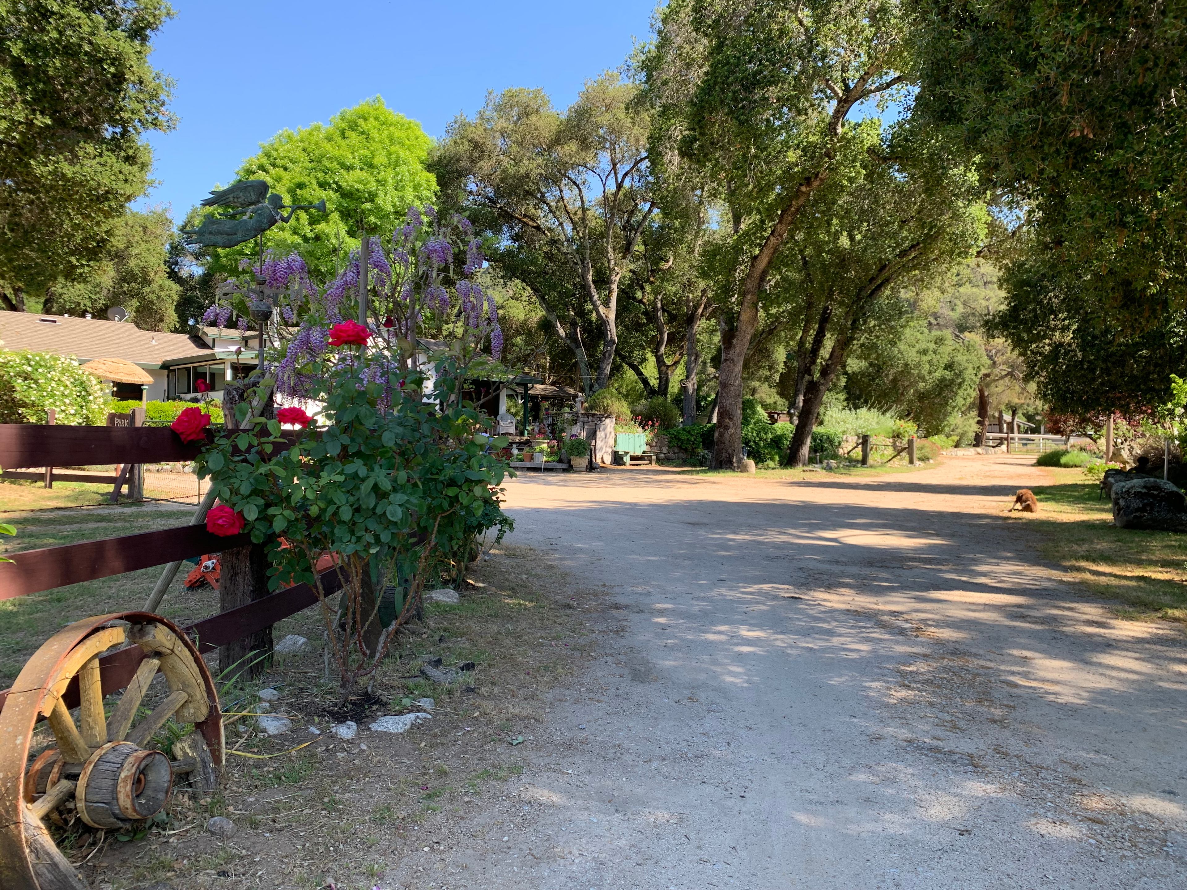 Entering the property