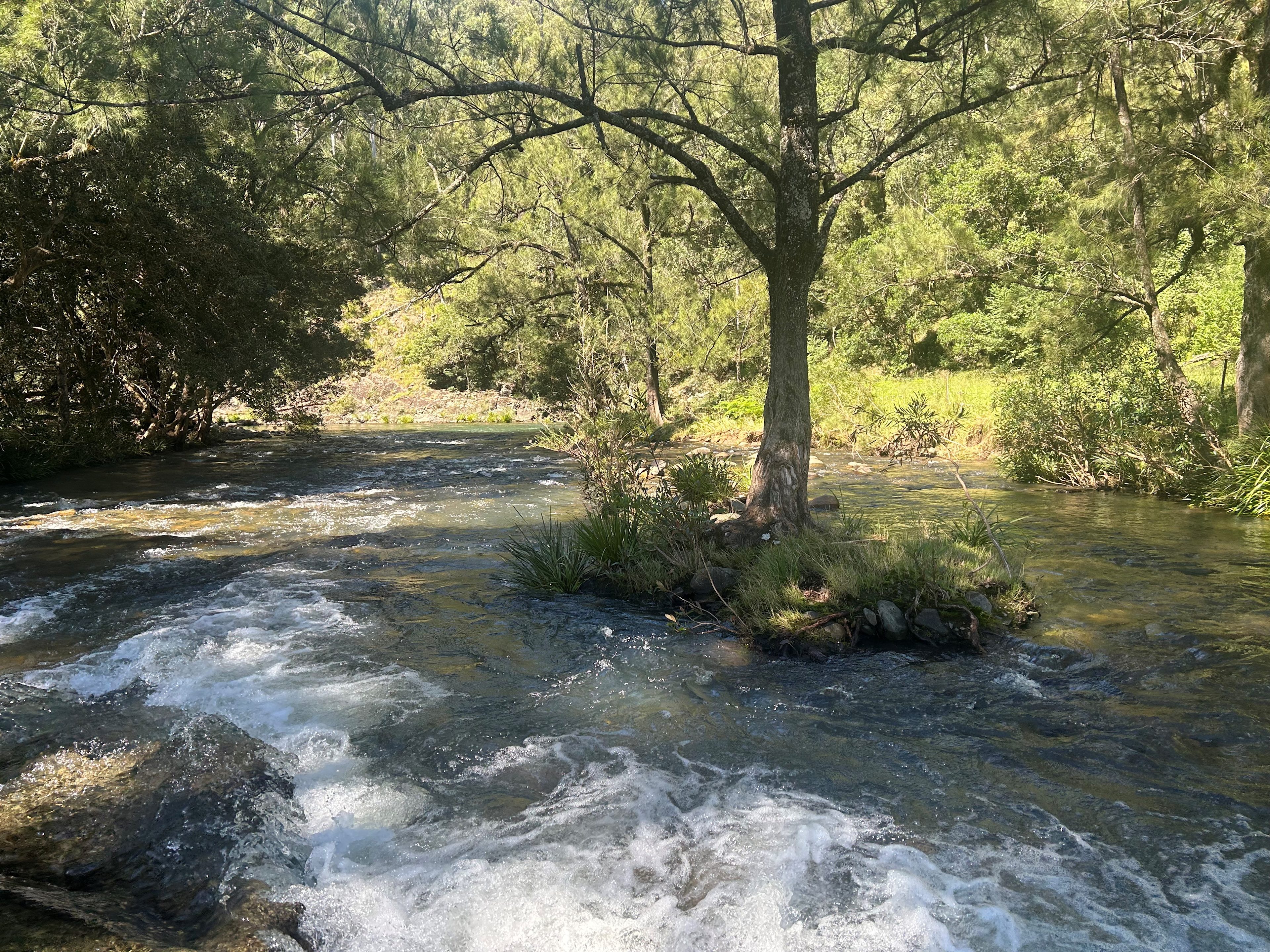 Elsewhere (Escape2Nature)