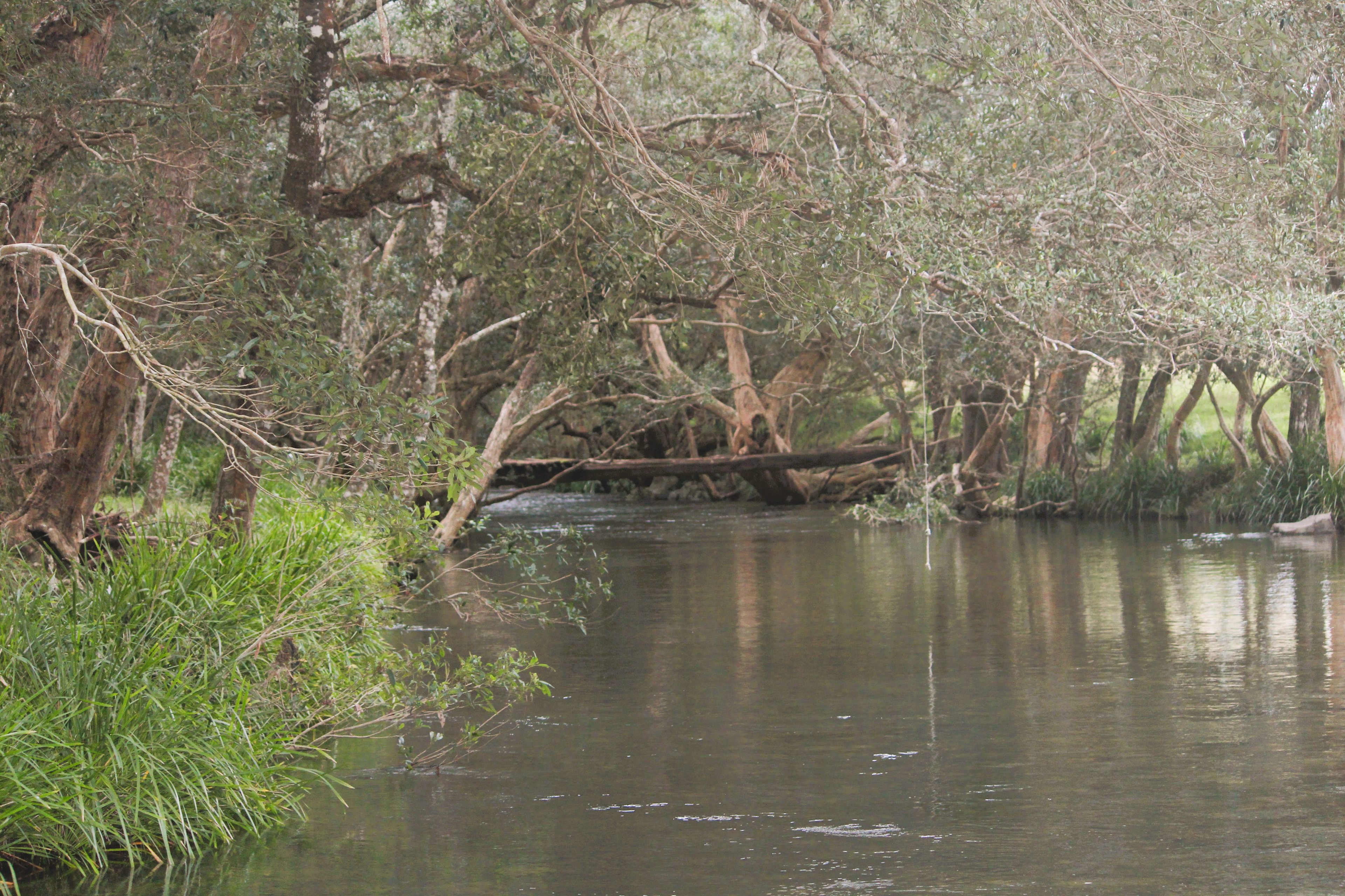 Elsewhere (Escape2Nature)