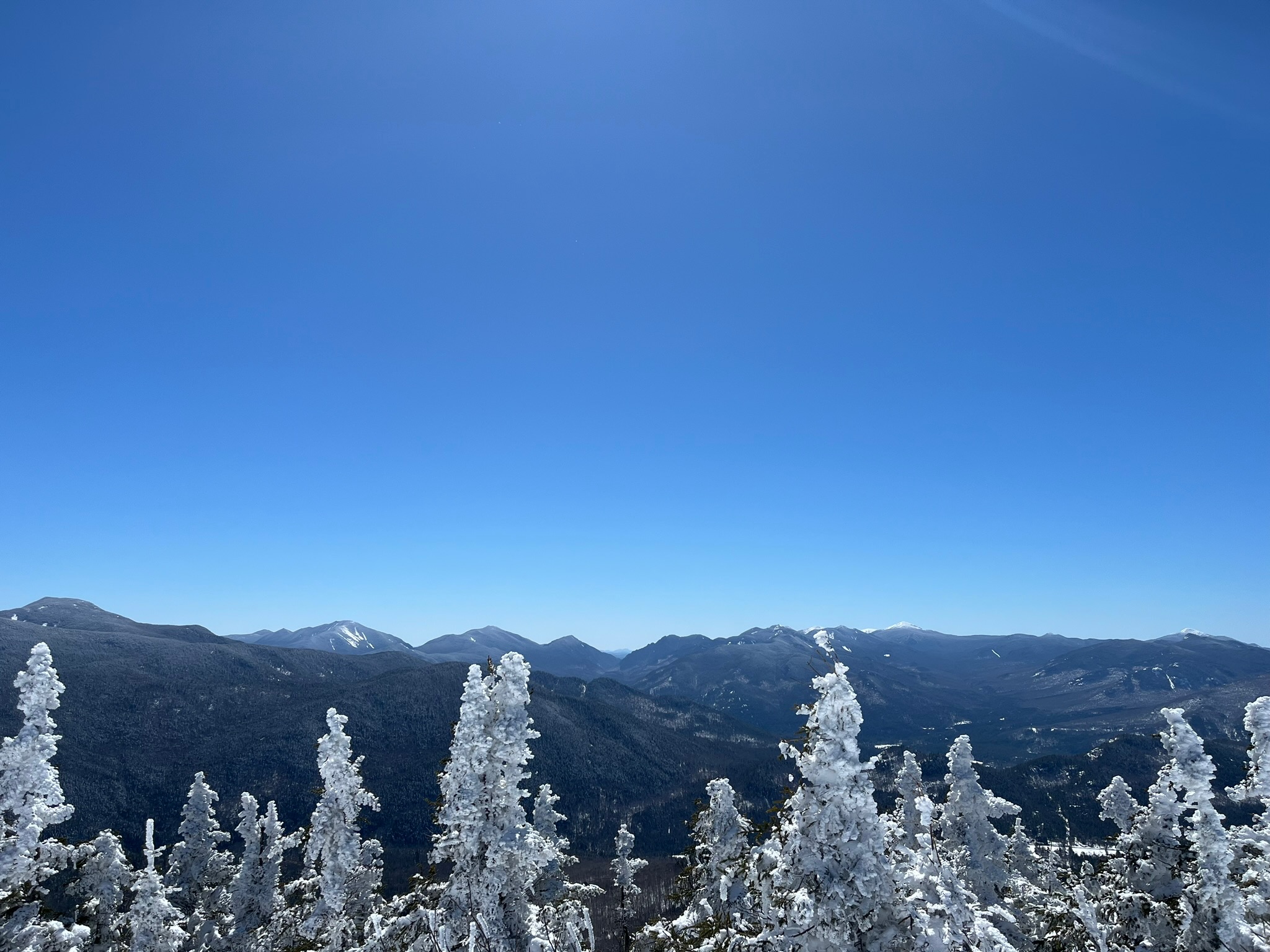 Trumbull Pines