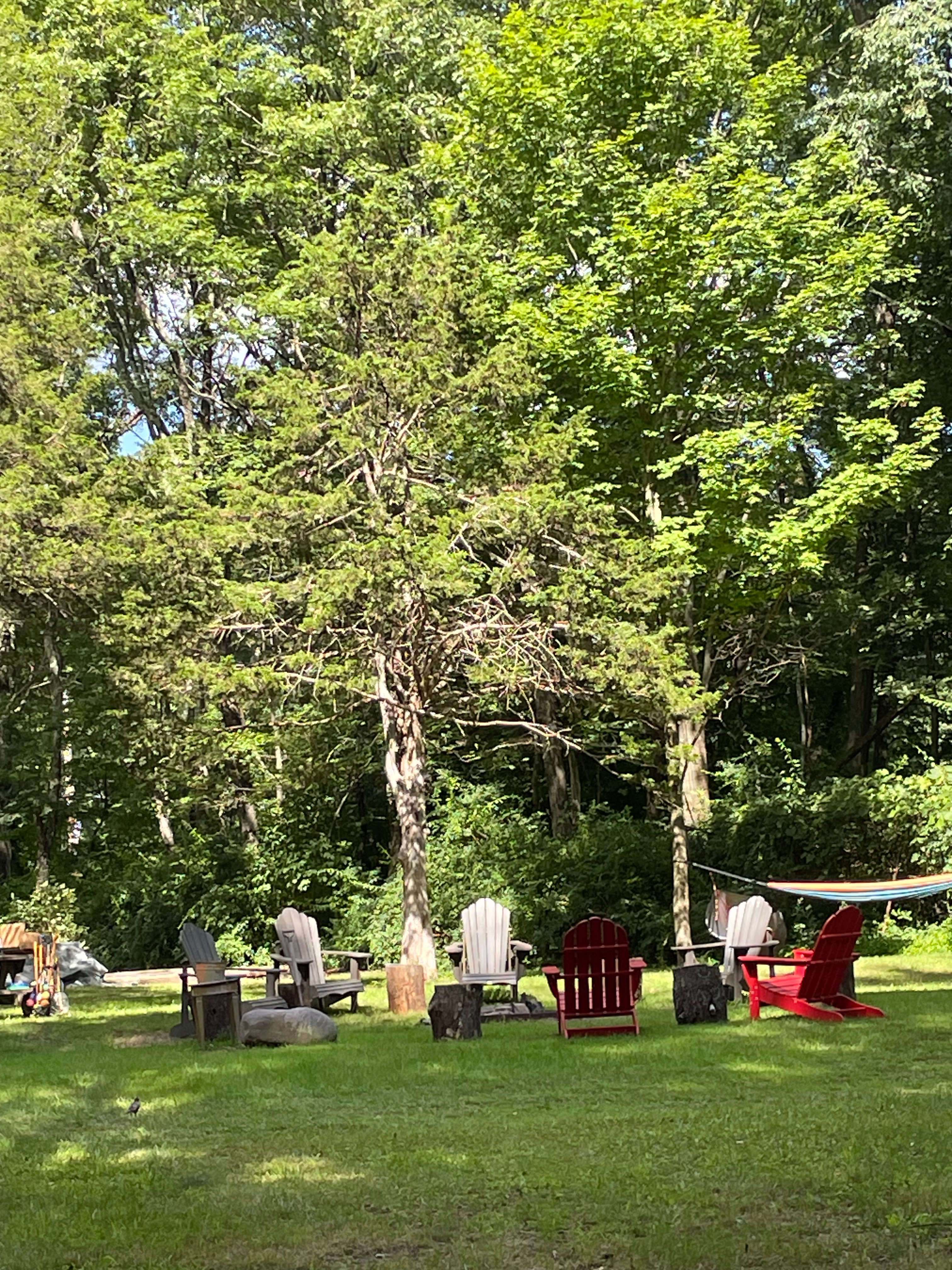 The Campsite at Oak Lodge