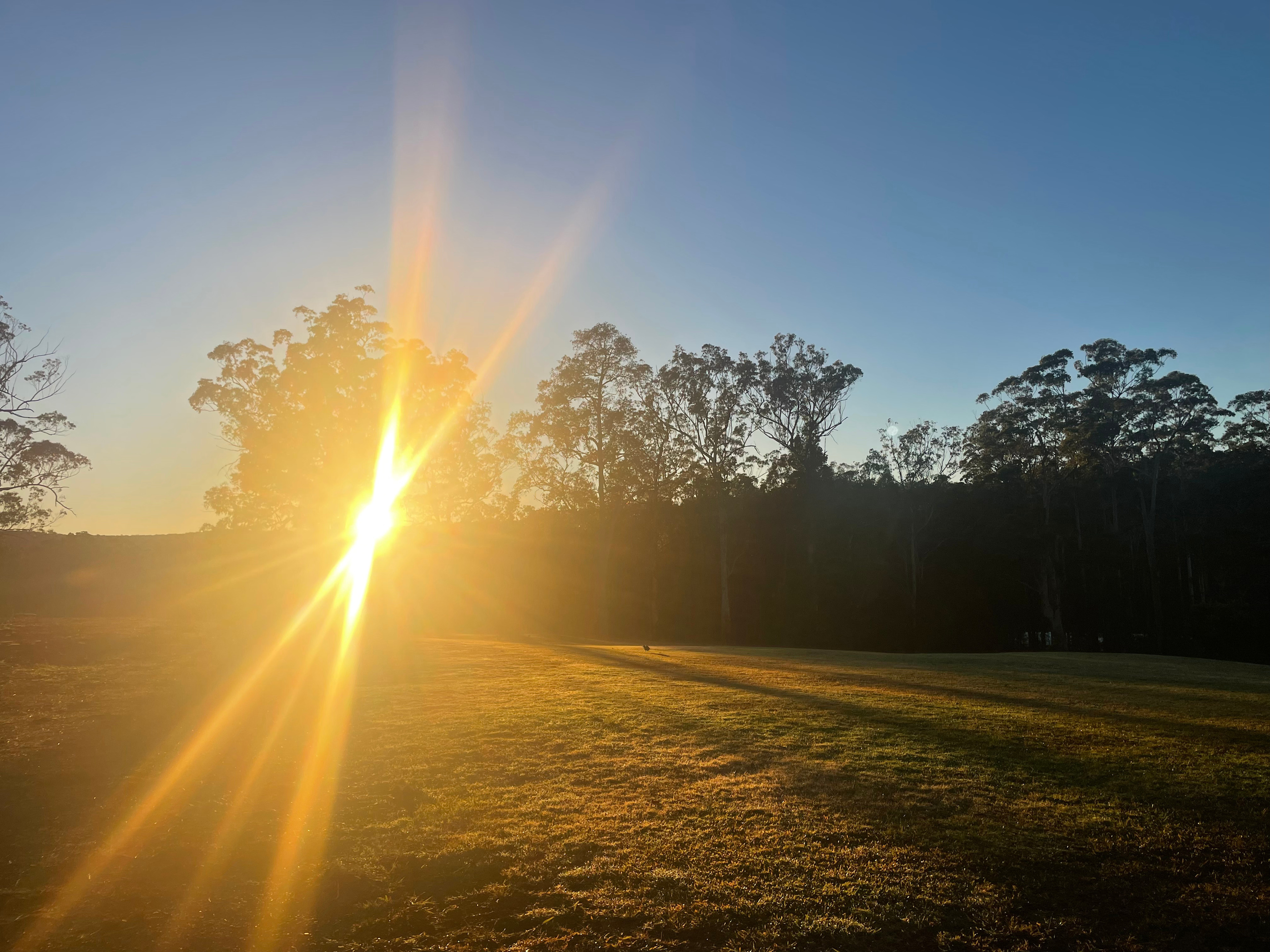 Bagawa Glen Farmstay
