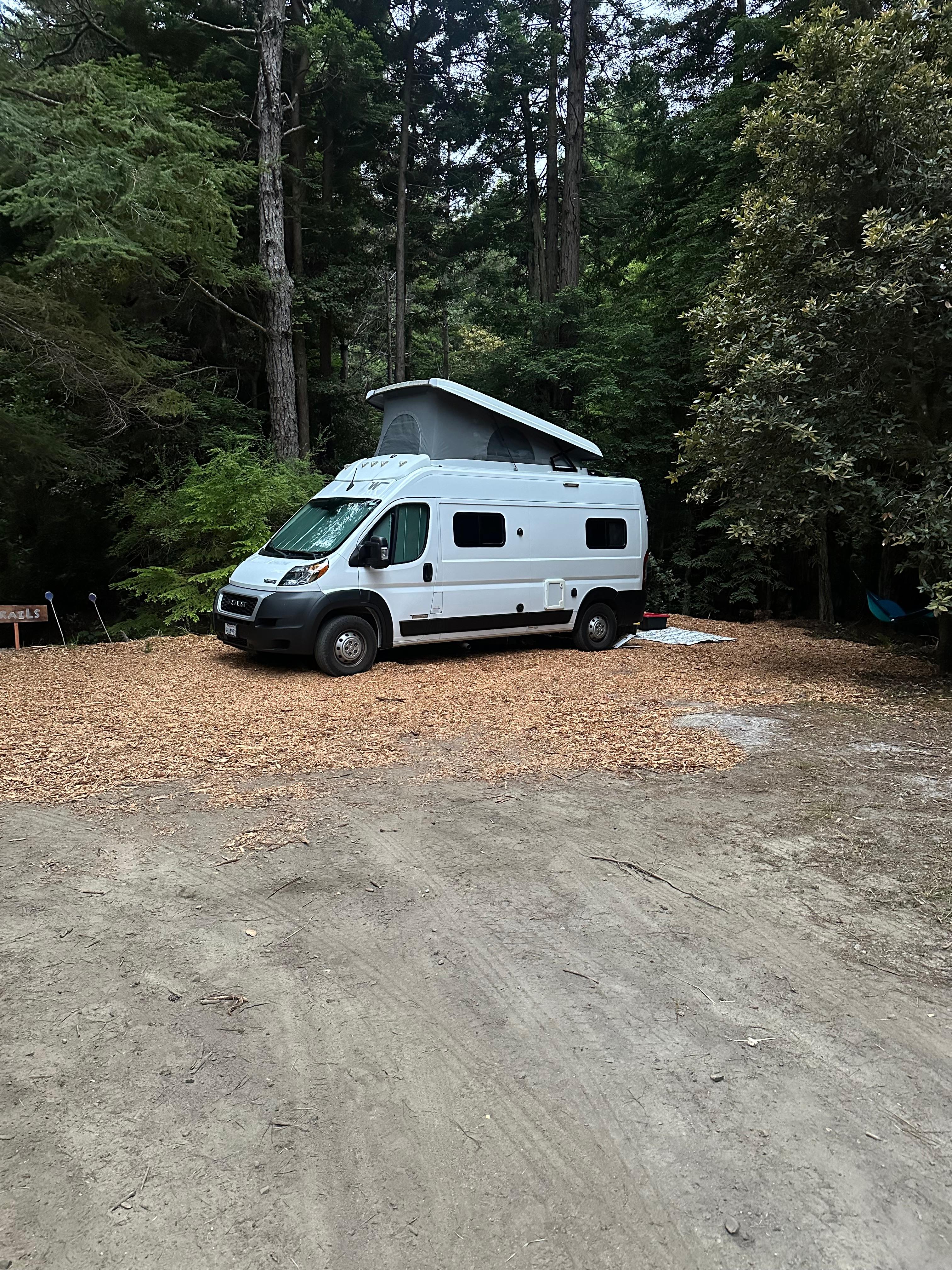 Clean and spacious site