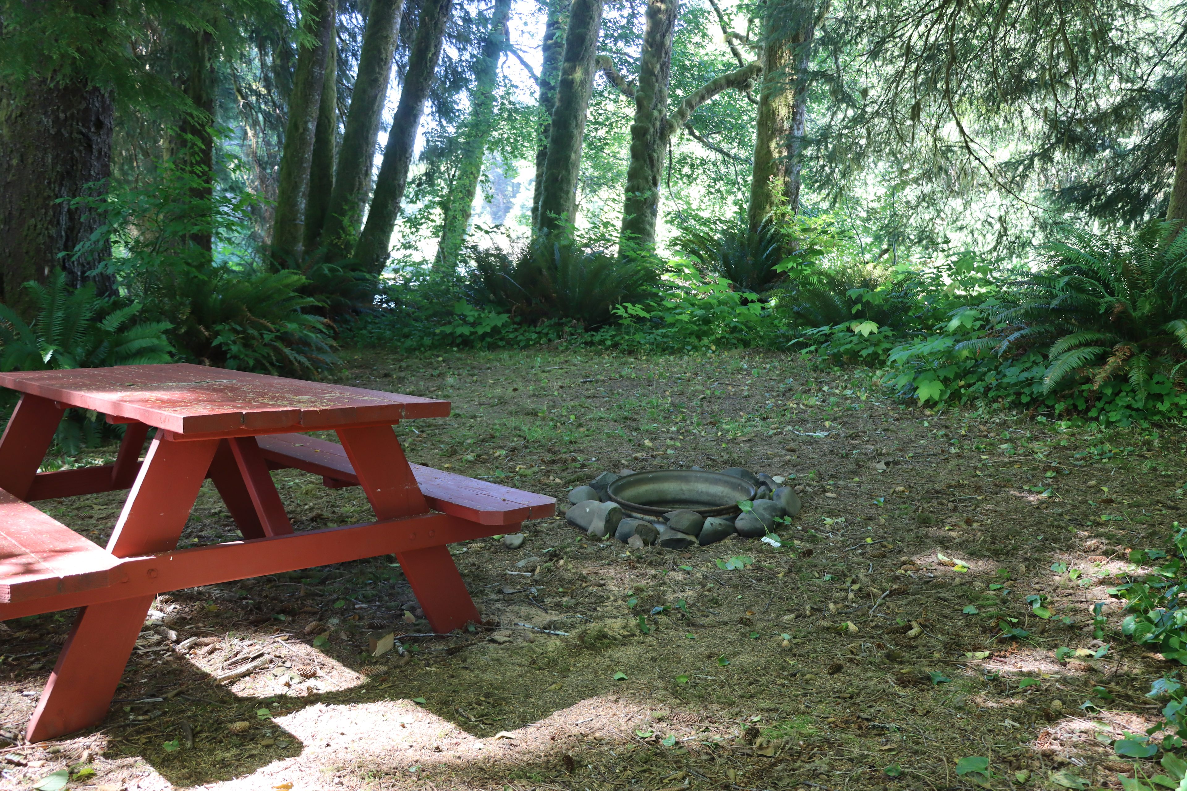 Salmon Run Campground
