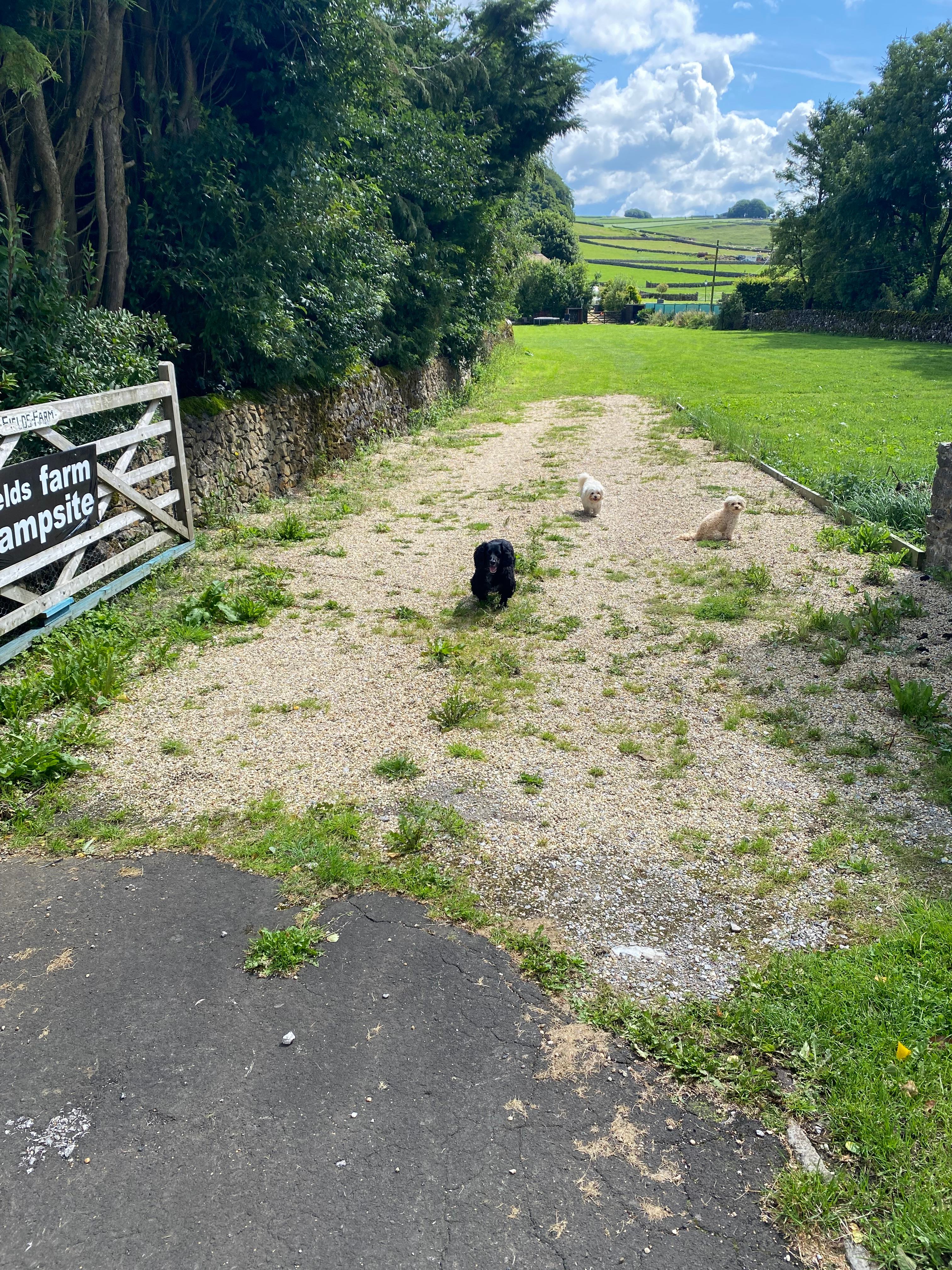 fields farm campsite church lane sk