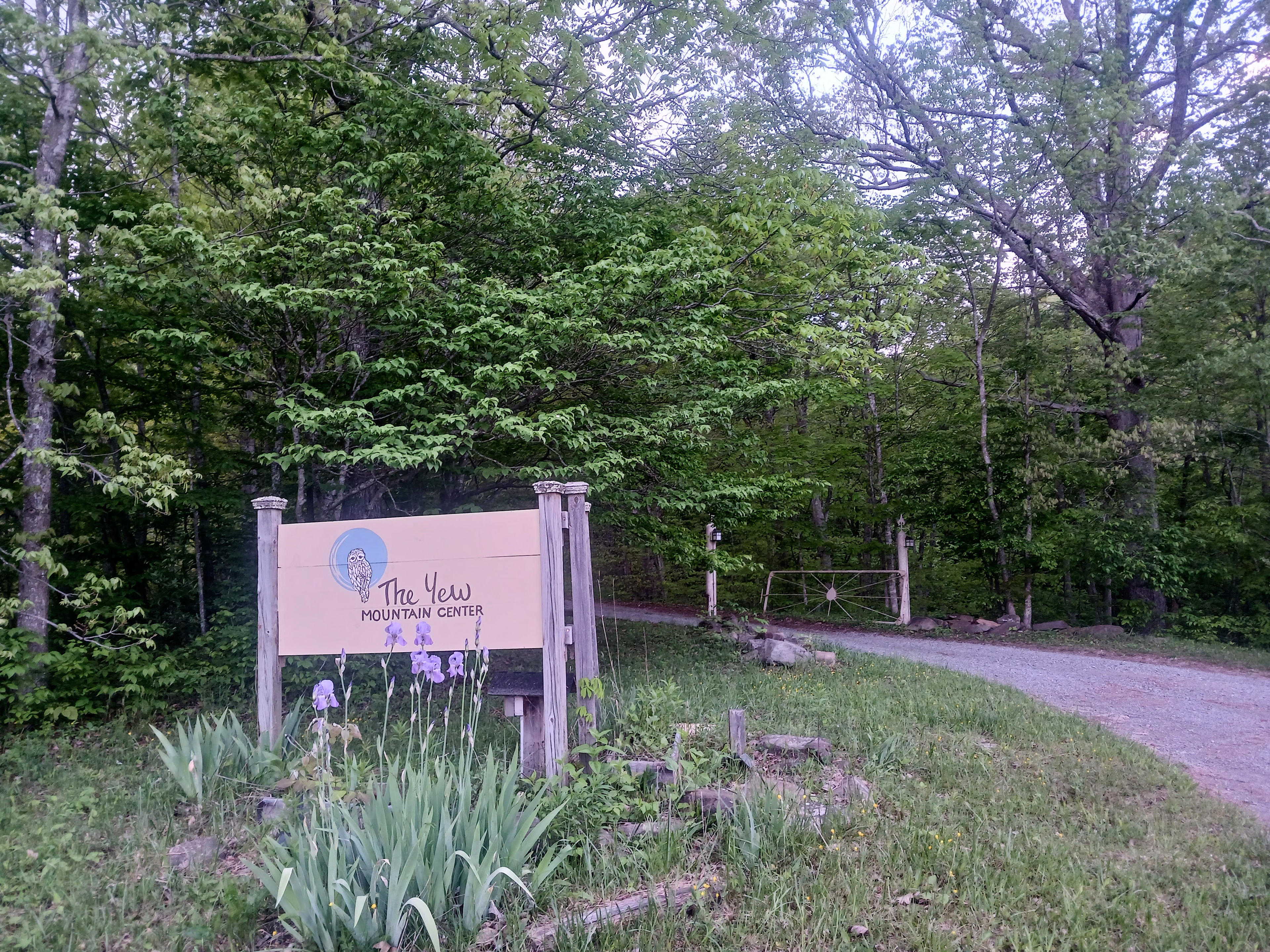 The Yew Mountain Center