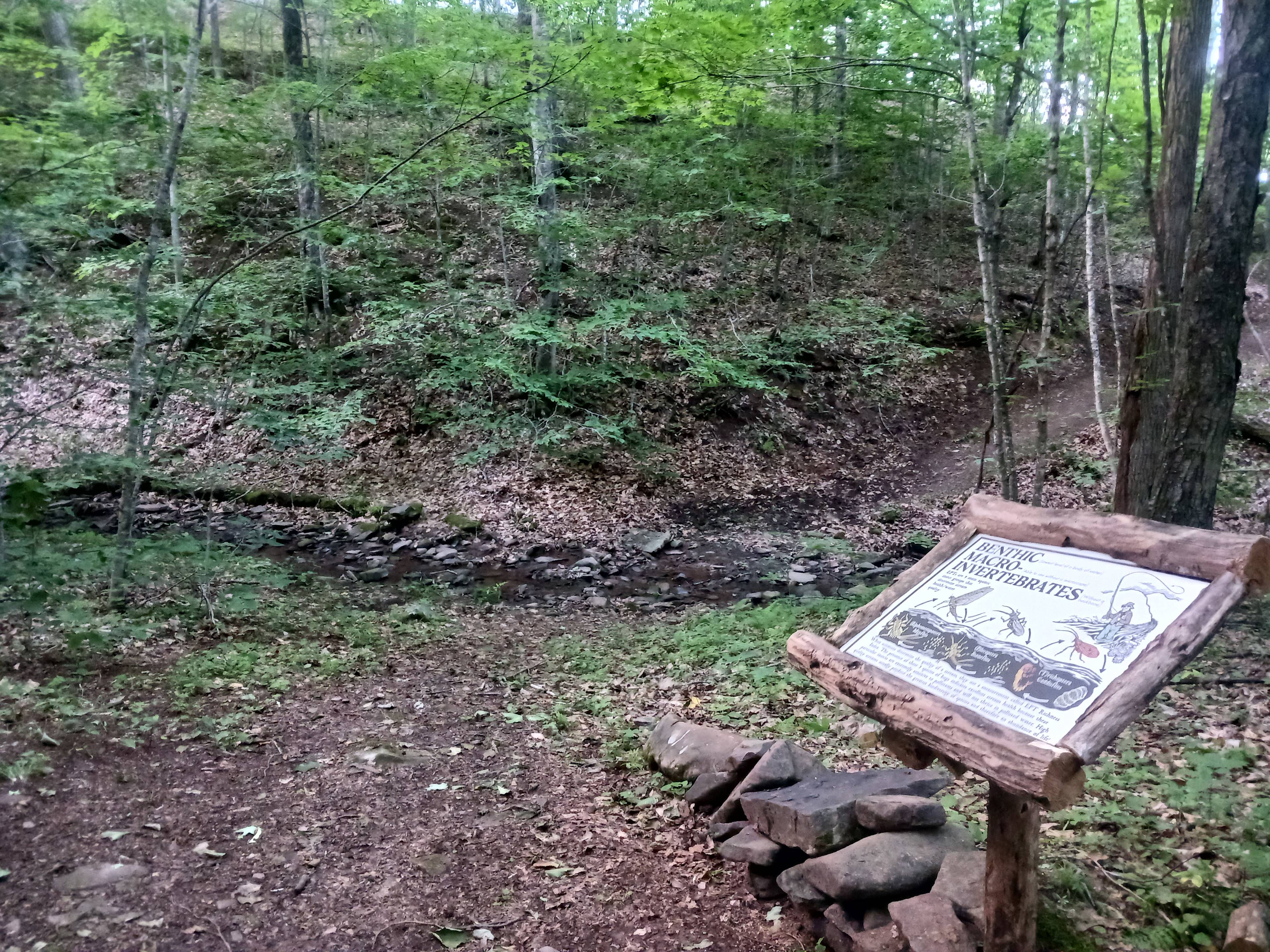 The Yew Mountain Center