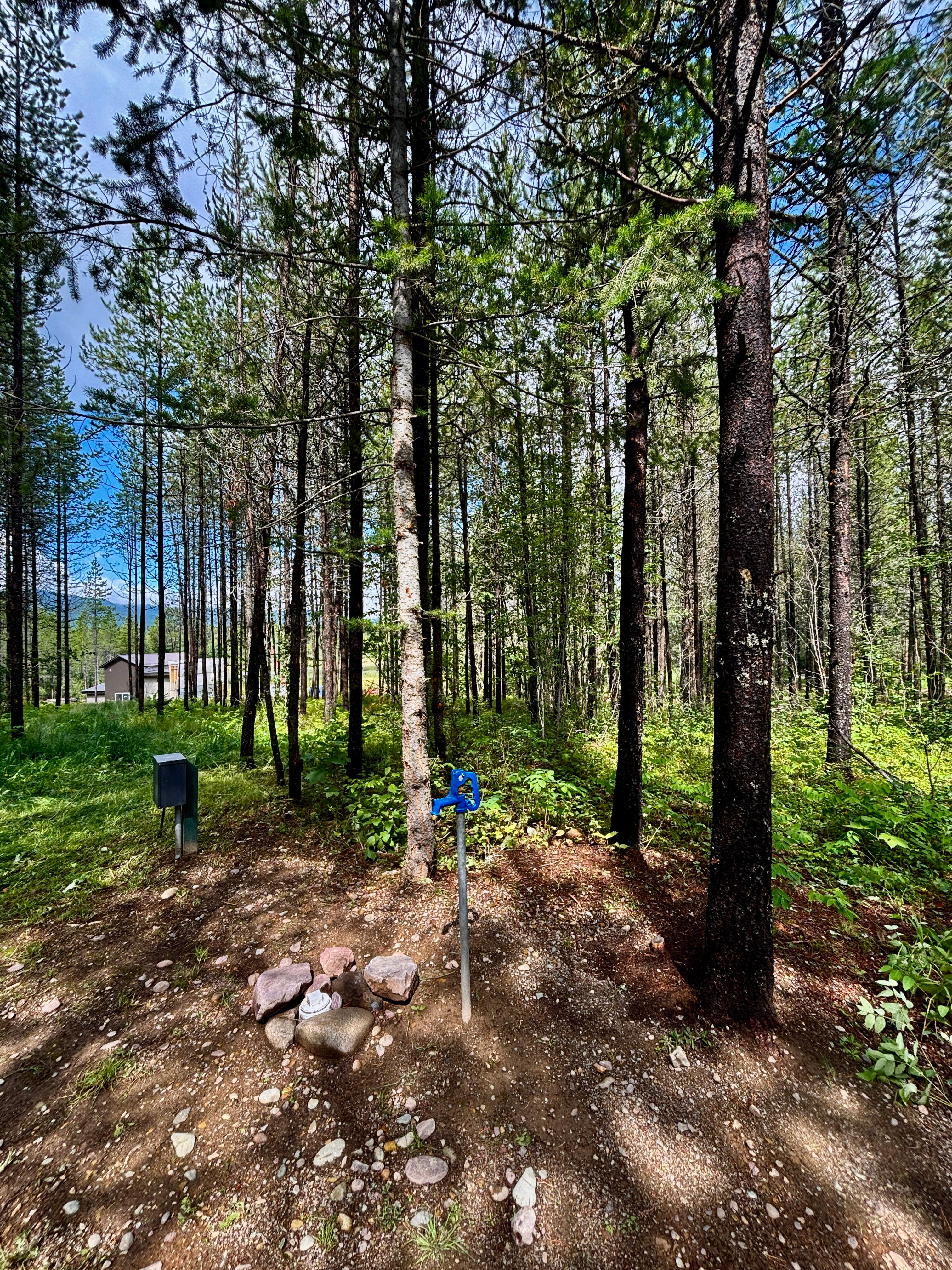 Glacier Basecamp (currently closed)