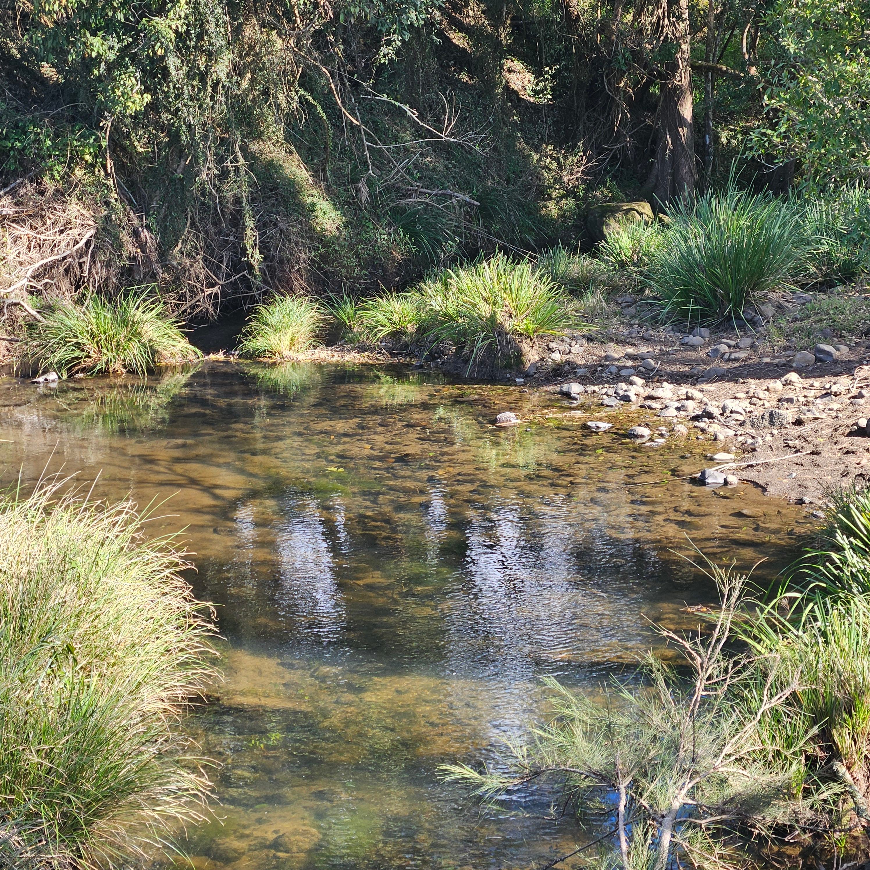 Tweed Valley Westbury Farm