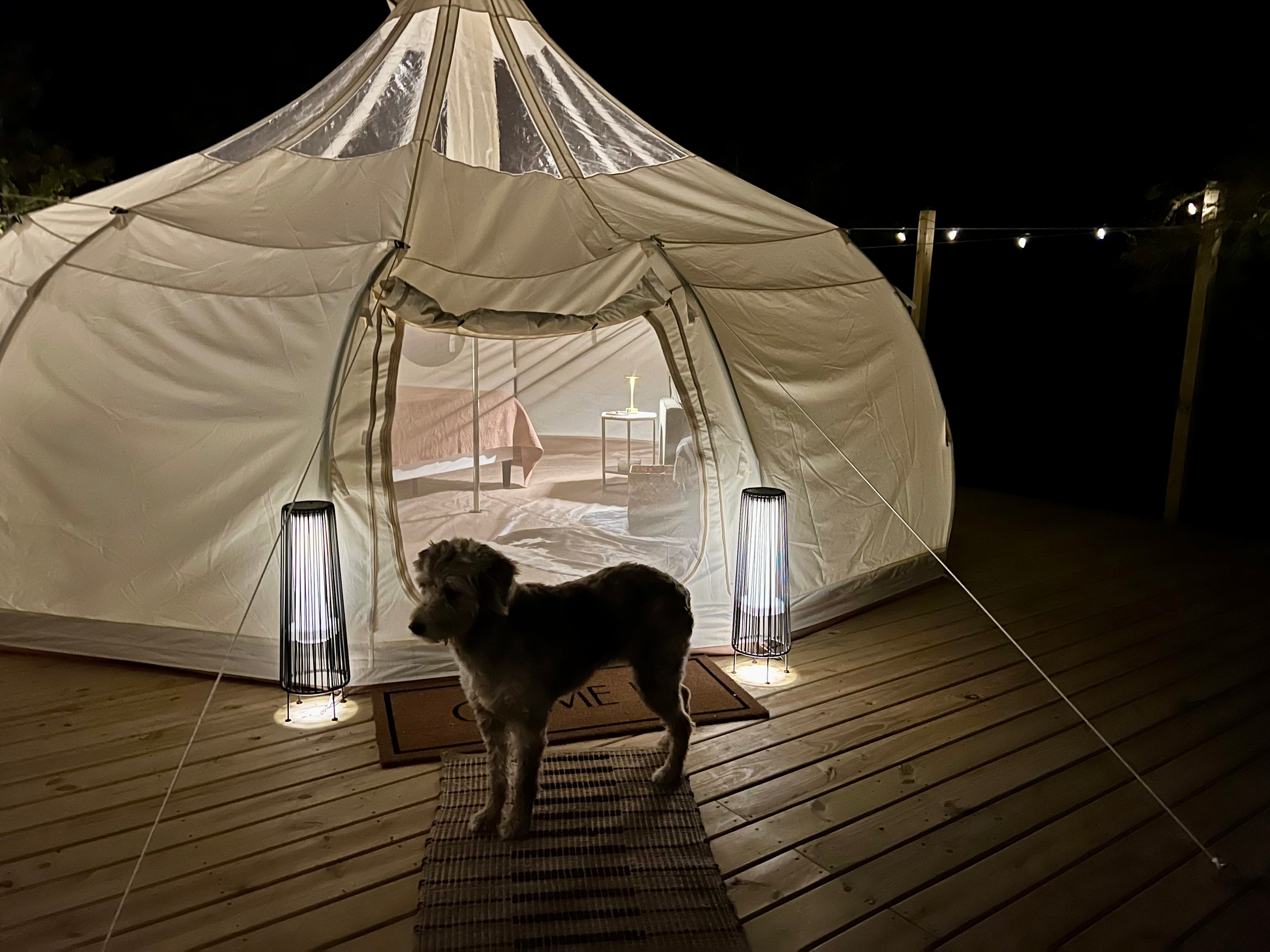 Butter & Grahams - Tent Glamping