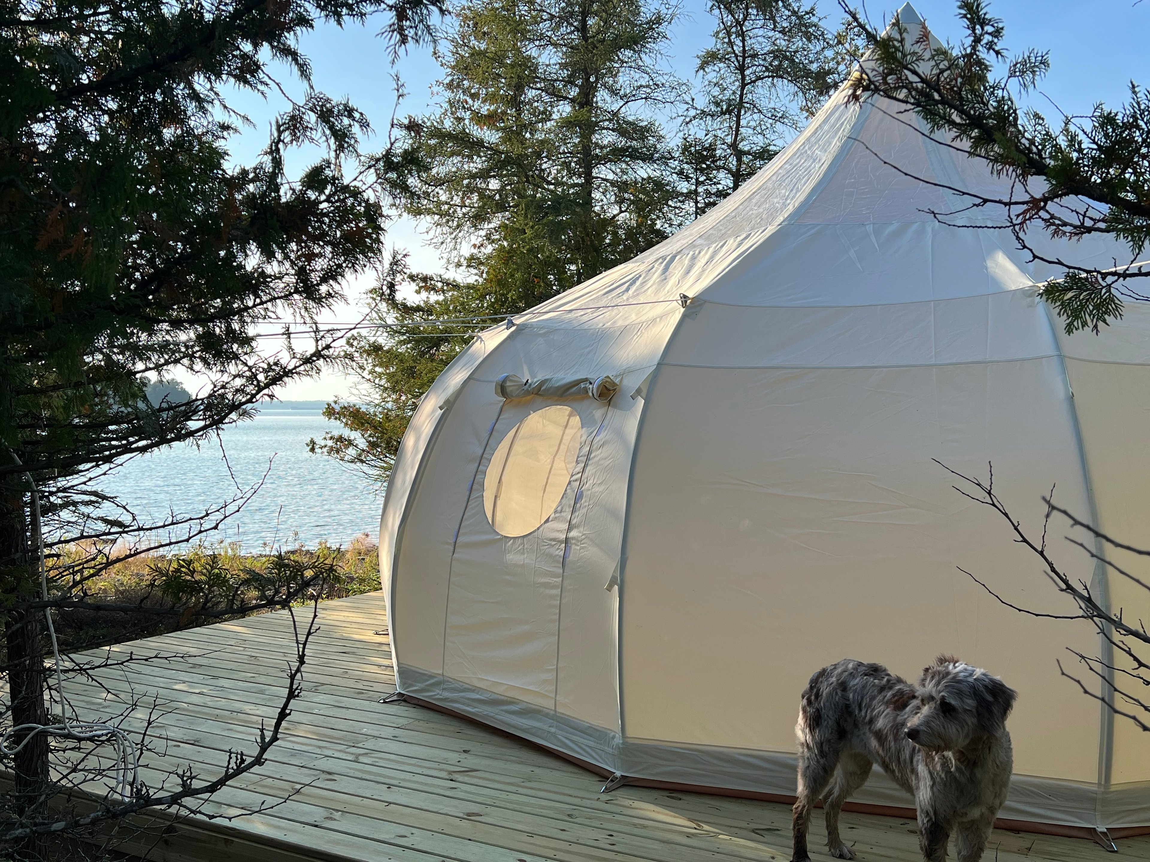 Butter & Grahams - Tent Glamping