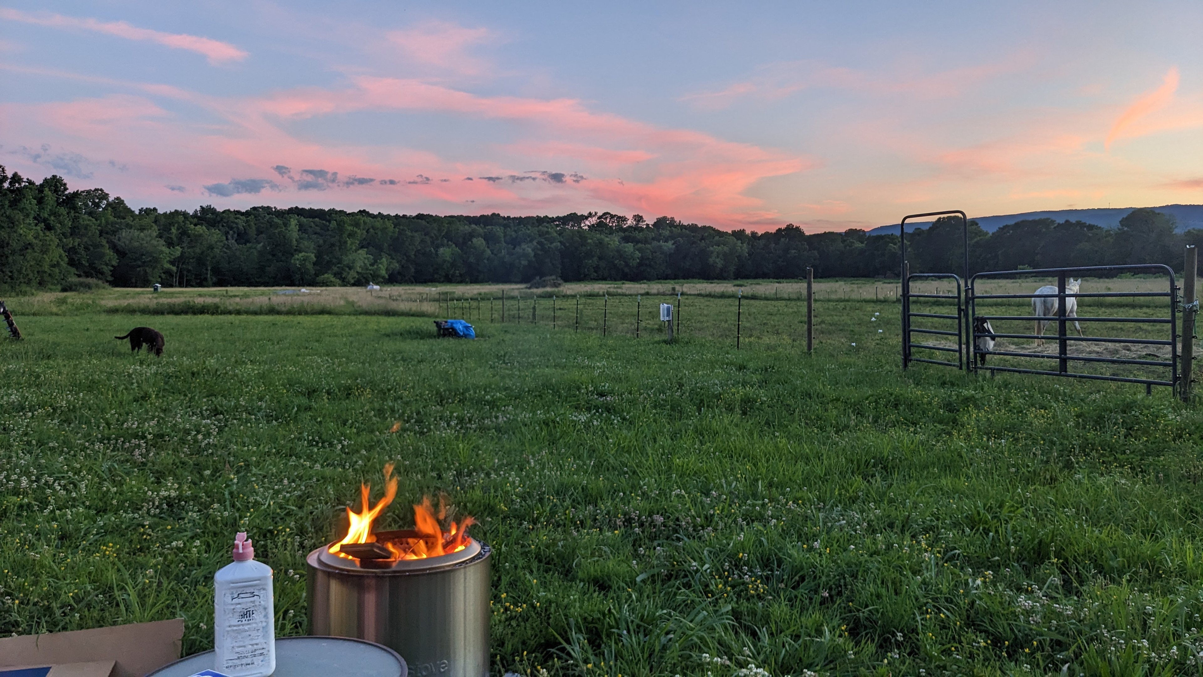 Shenanigans Valley Farm