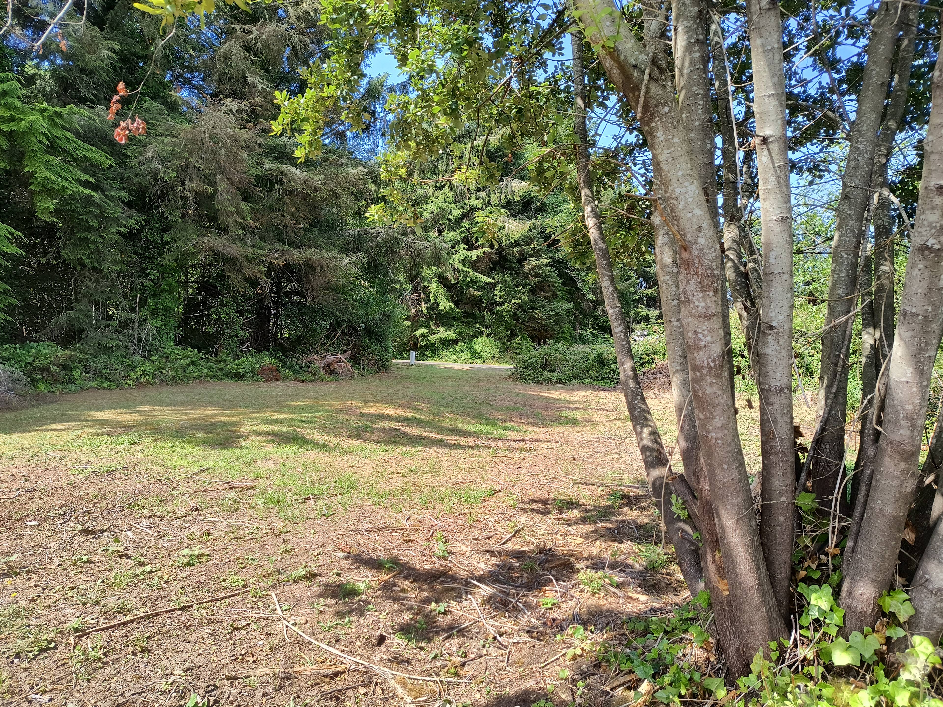 Peaceful Camp By The Beach
