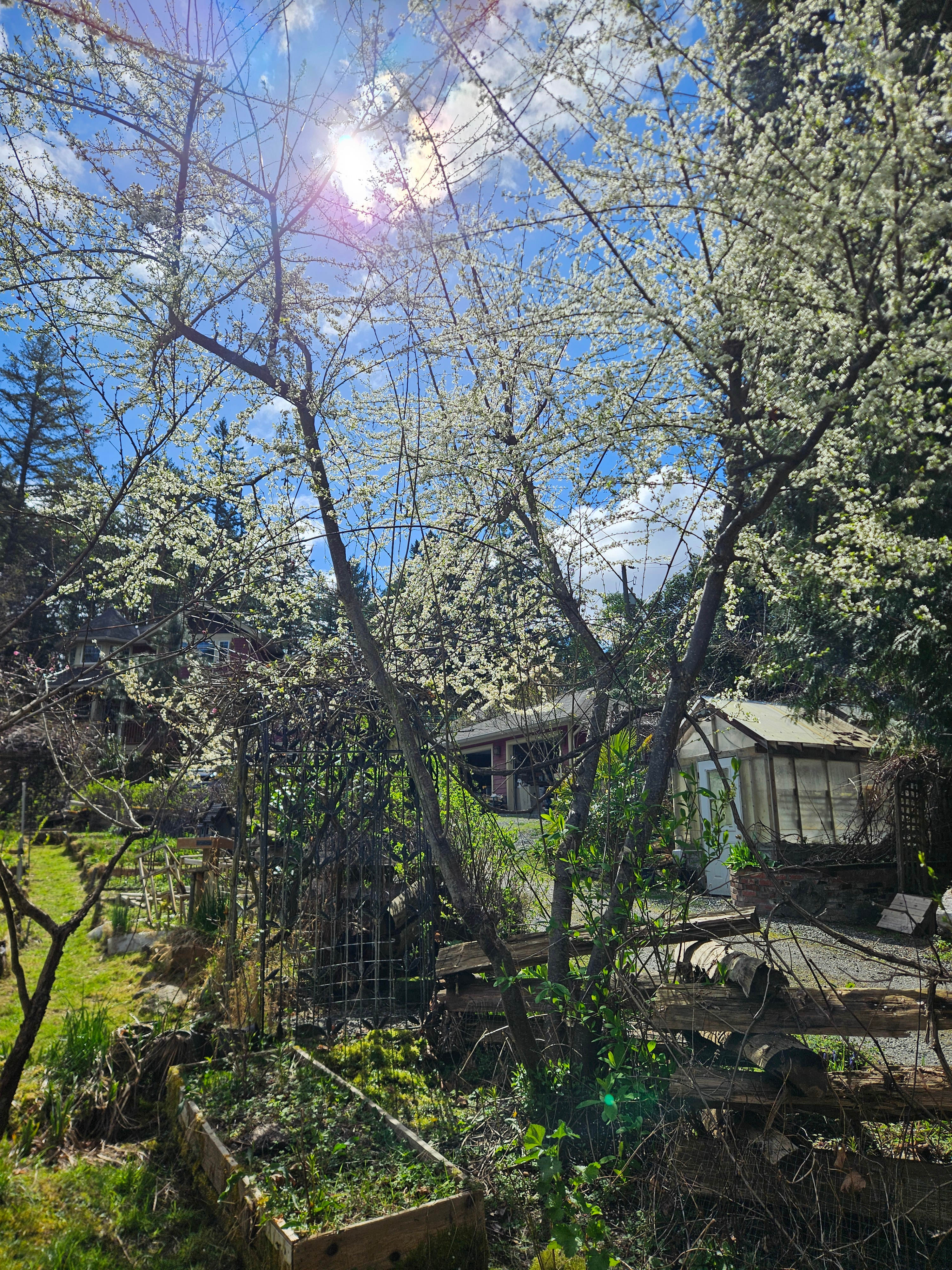 Terravita Brentwood Bay