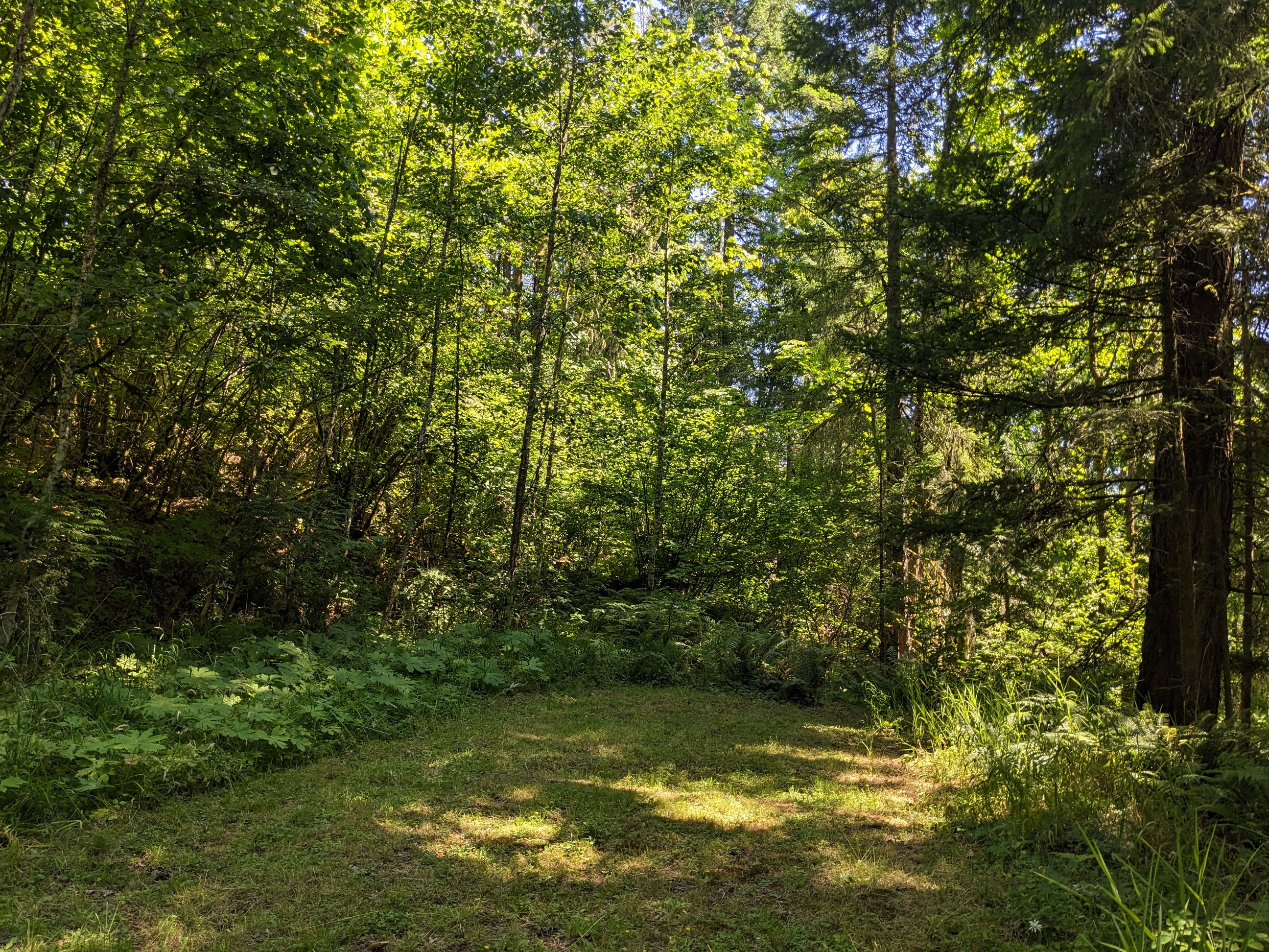 Storybook Campgrounds