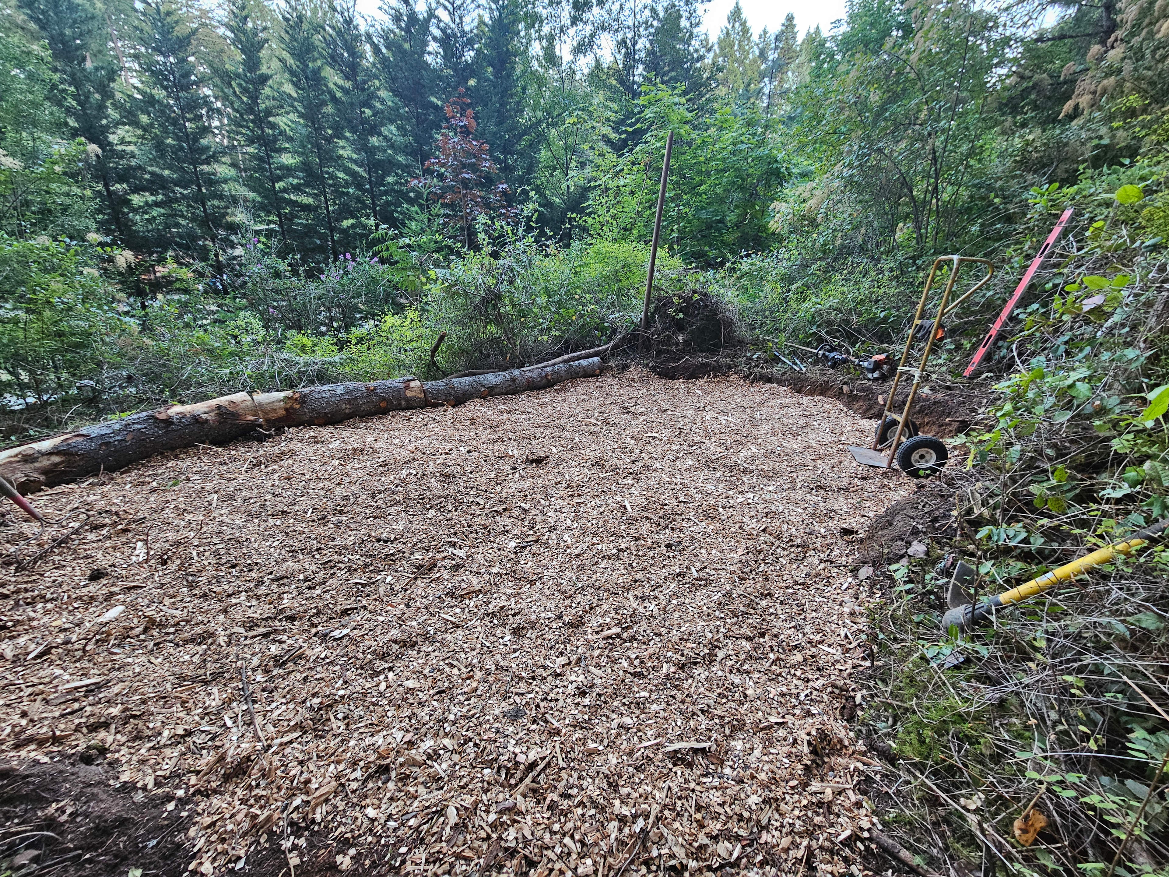 Cottontail site