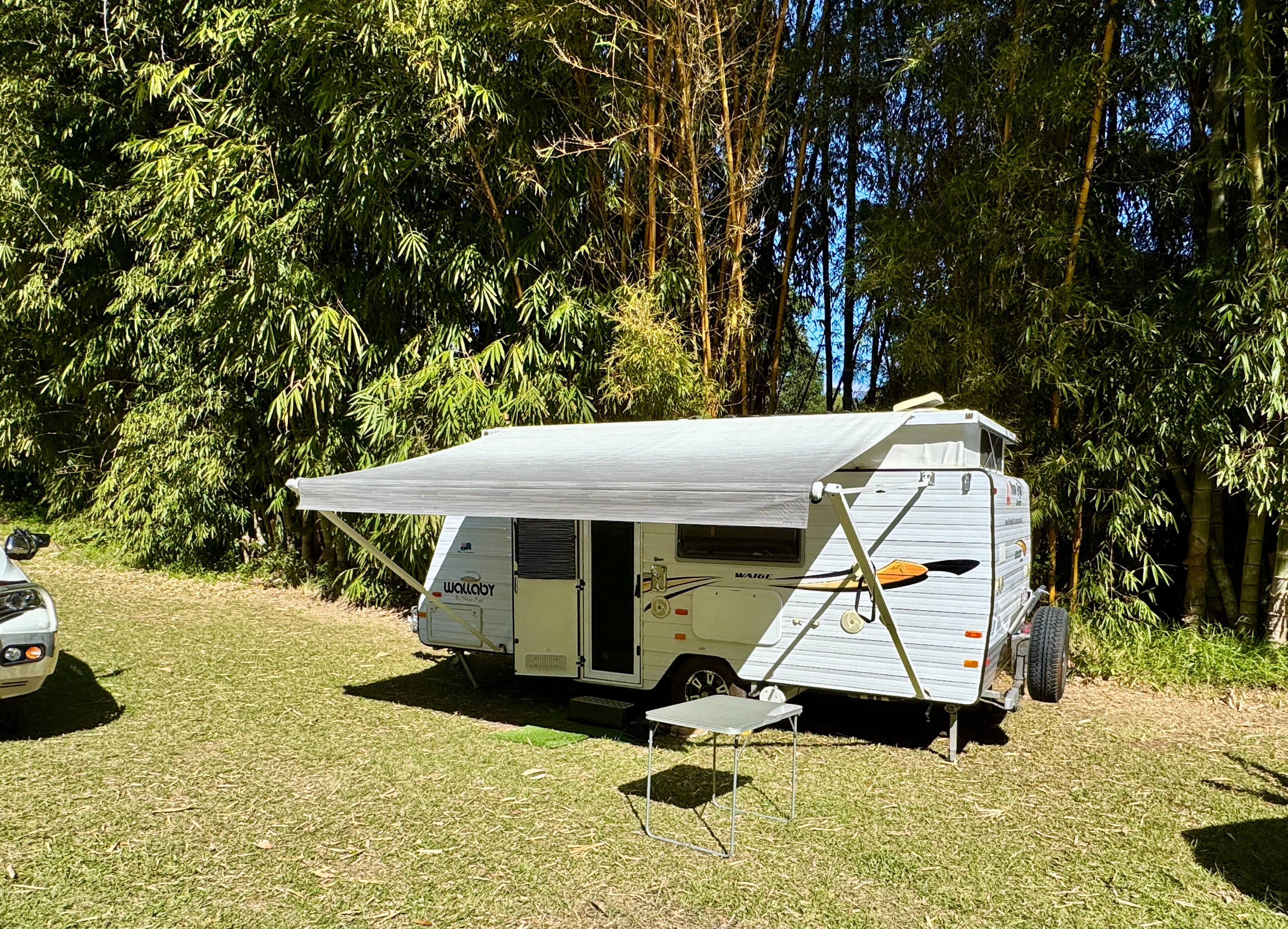 Setting up camp on the Bambo site