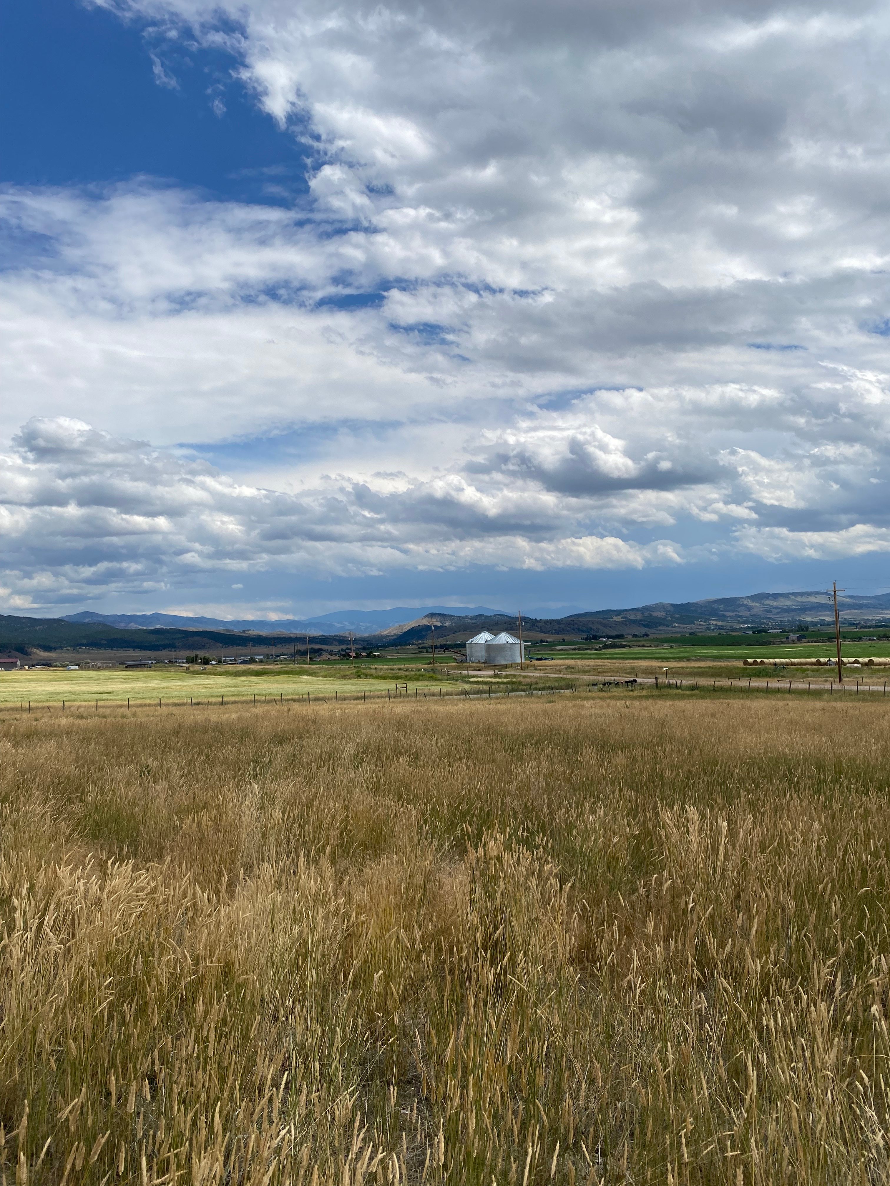 Hilltop Camp near Hauser Lake