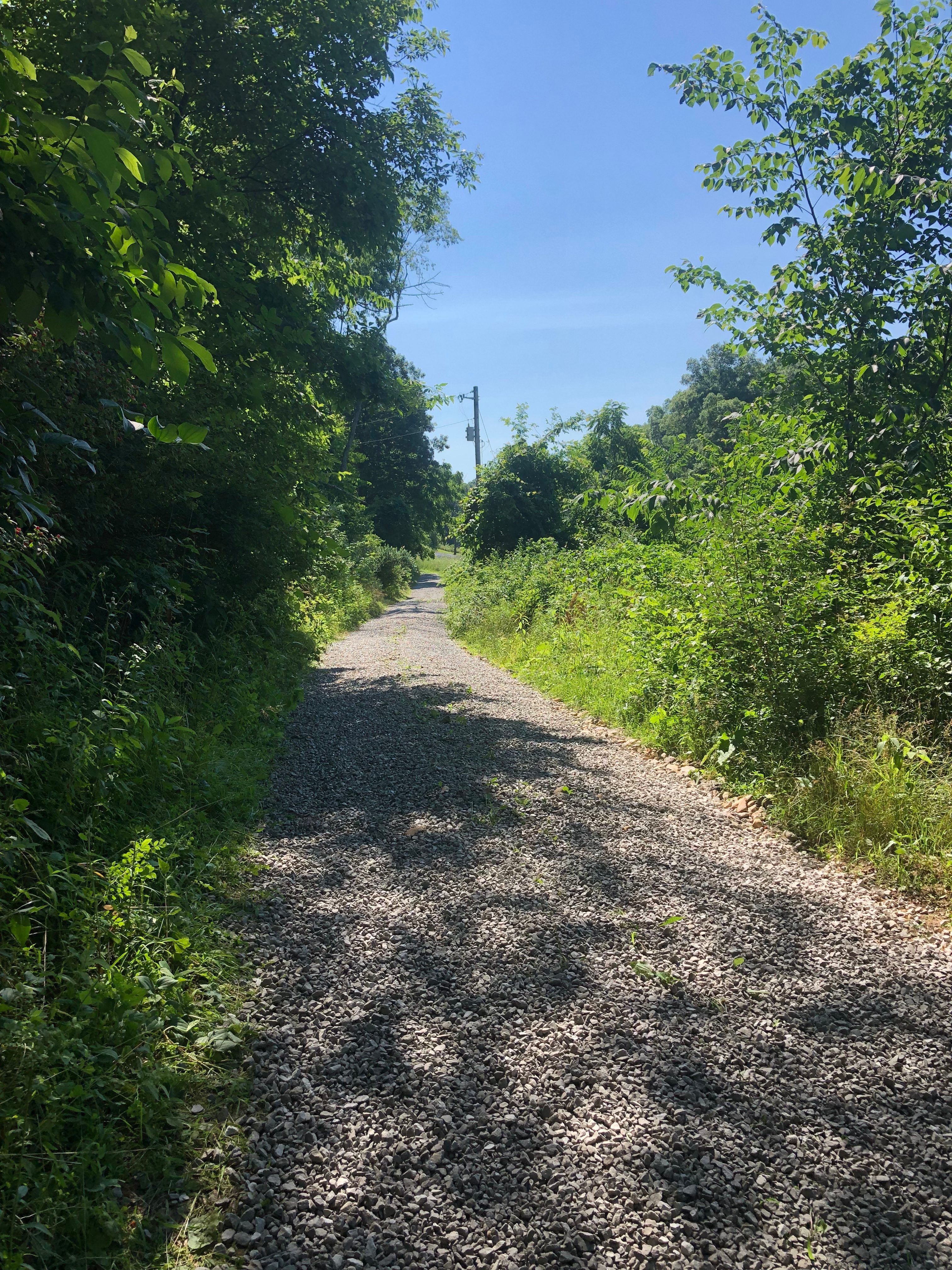 Driveway into my property. 