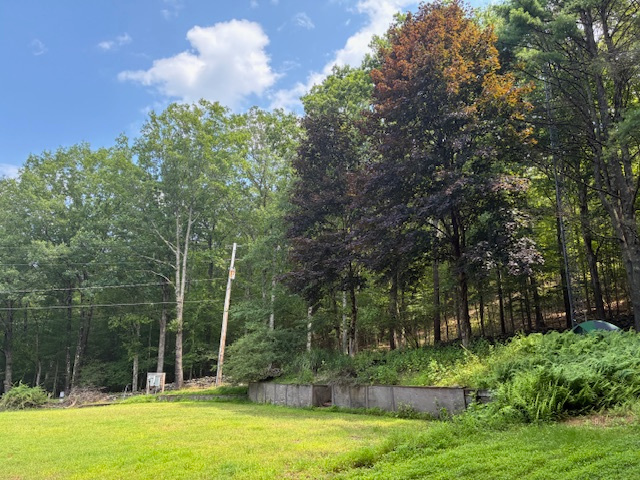 This view is from the top of the landing ground where you will have your RV stationed. It looks at the Electric panel on the bottom left hand side. 