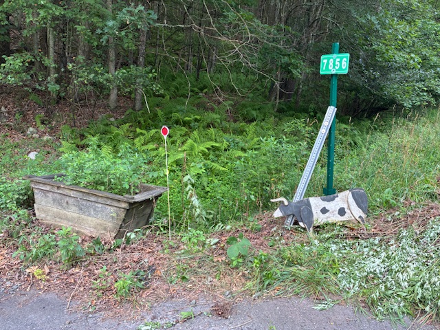 This is the entrance to the driveway from the road - Route New York 97 (NY97). If the cow is not there then it might have been removed by someone.