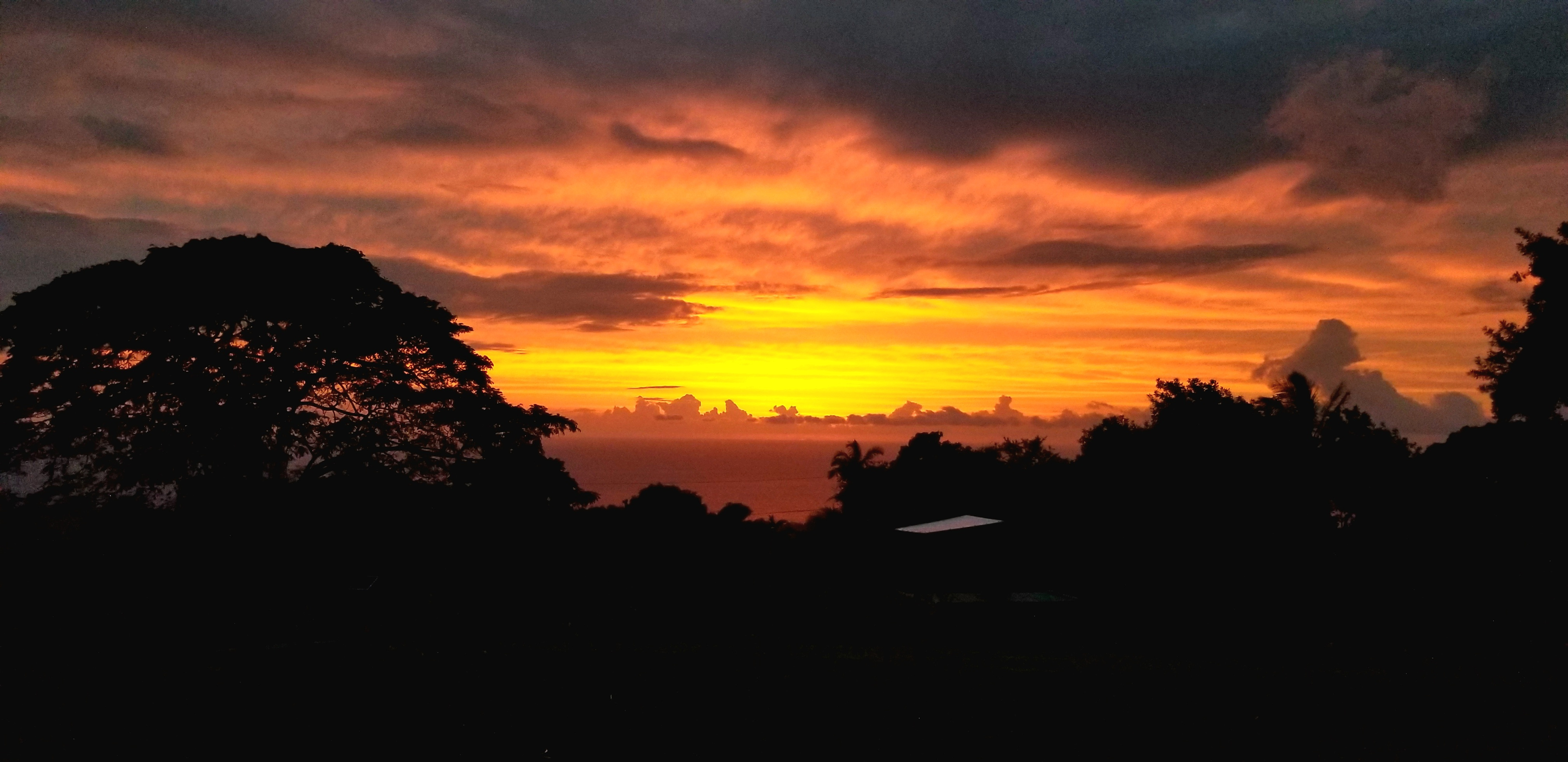 Liyric Farm Yoga/studio glampsite