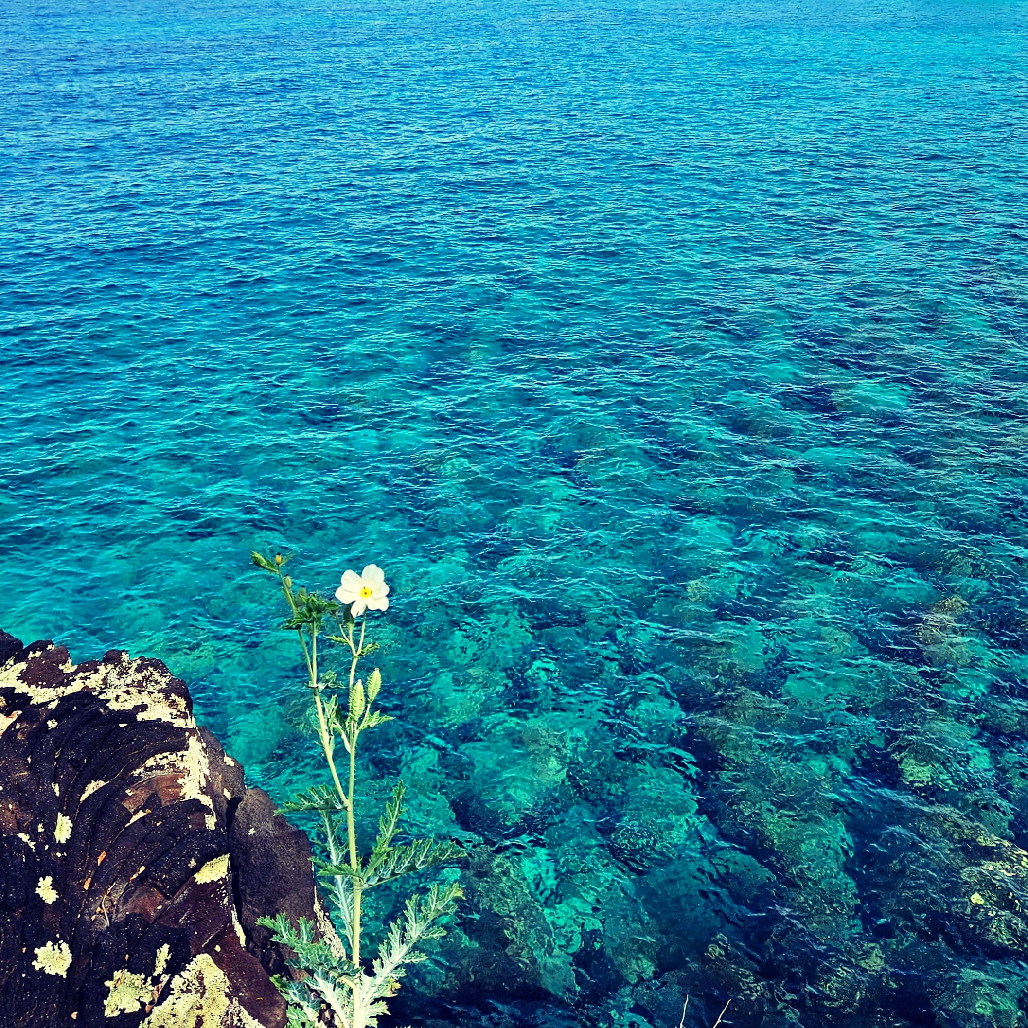 Liyric Farm Yoga/studio glampsite