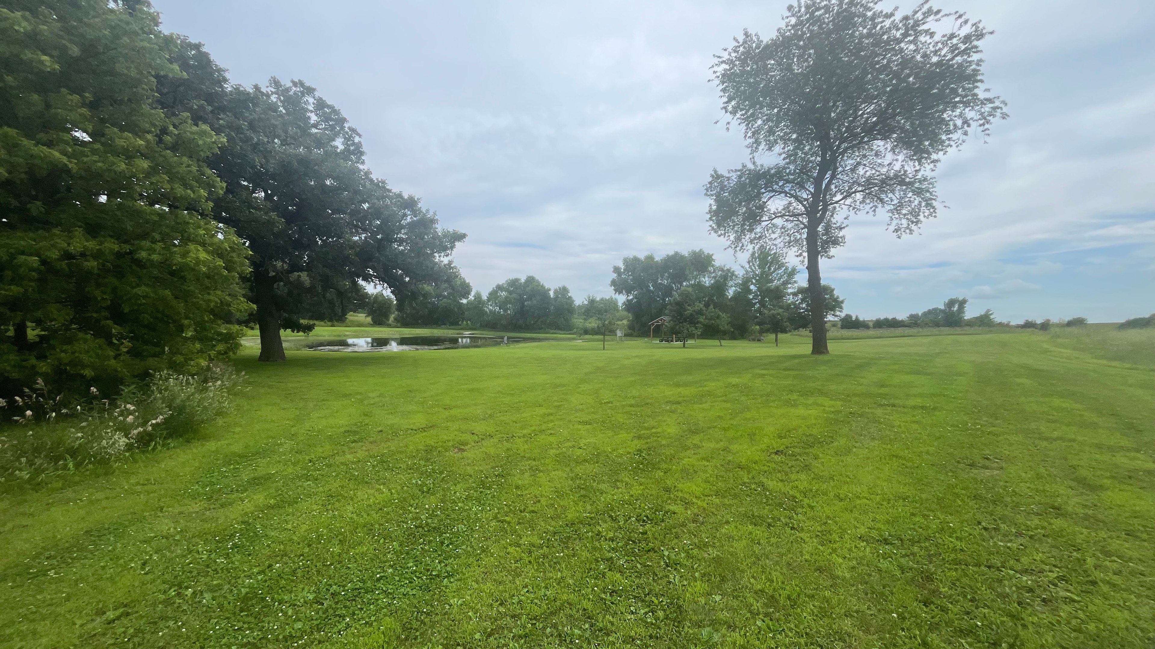 Welcome to The Pond at Walking Eagle Marsh!