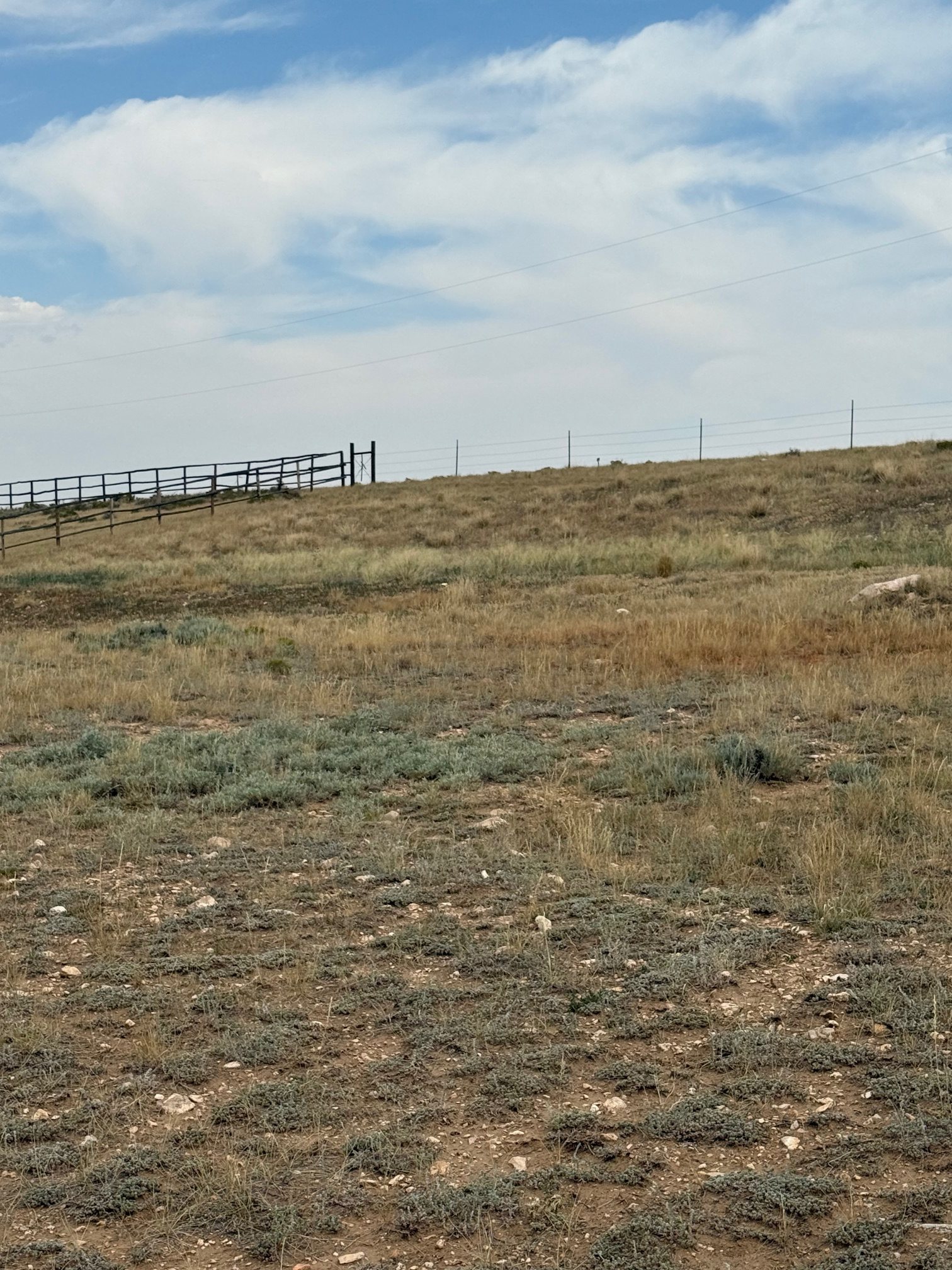 Little Space On The Prairie