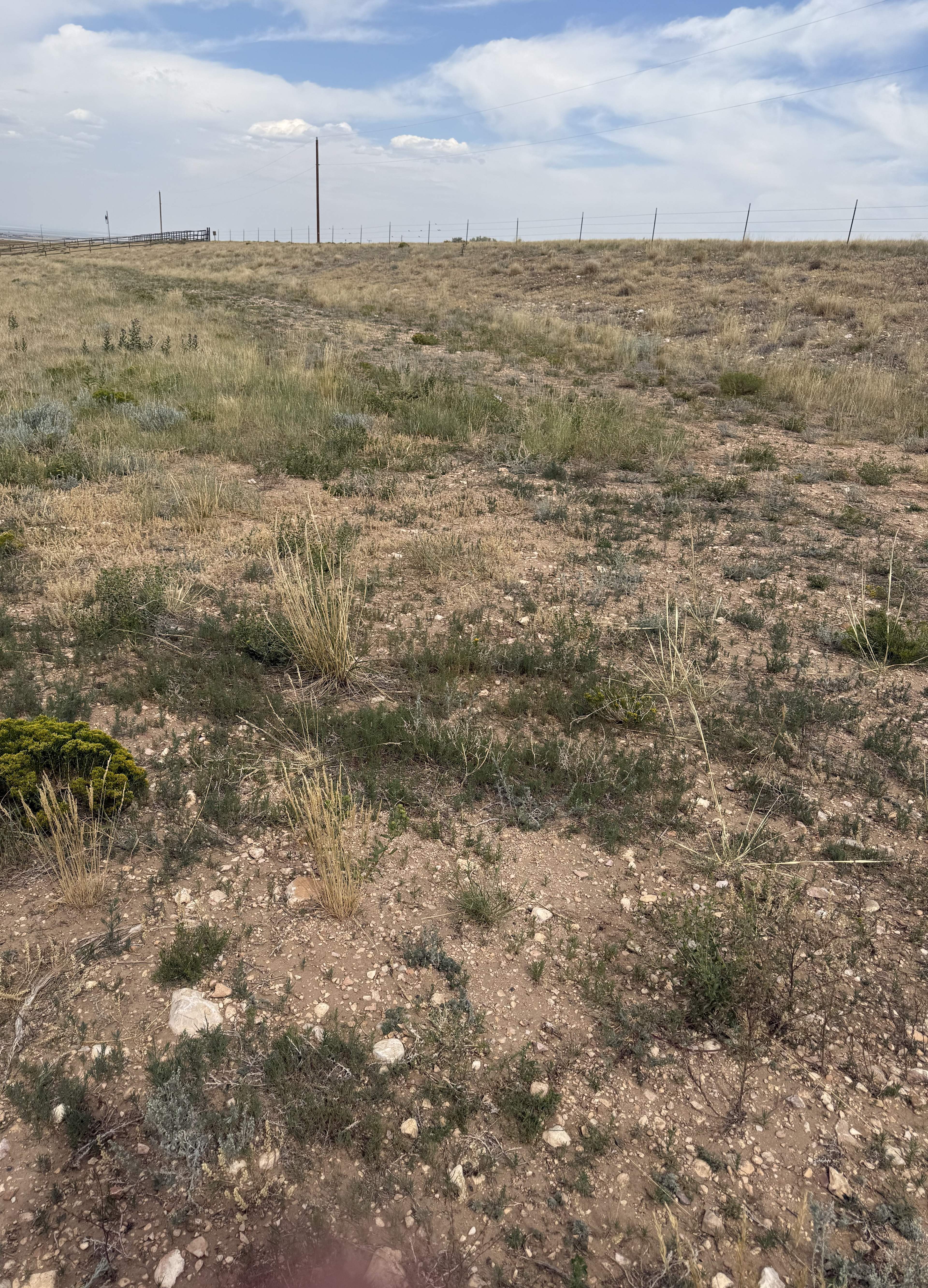Little Space On The Prairie