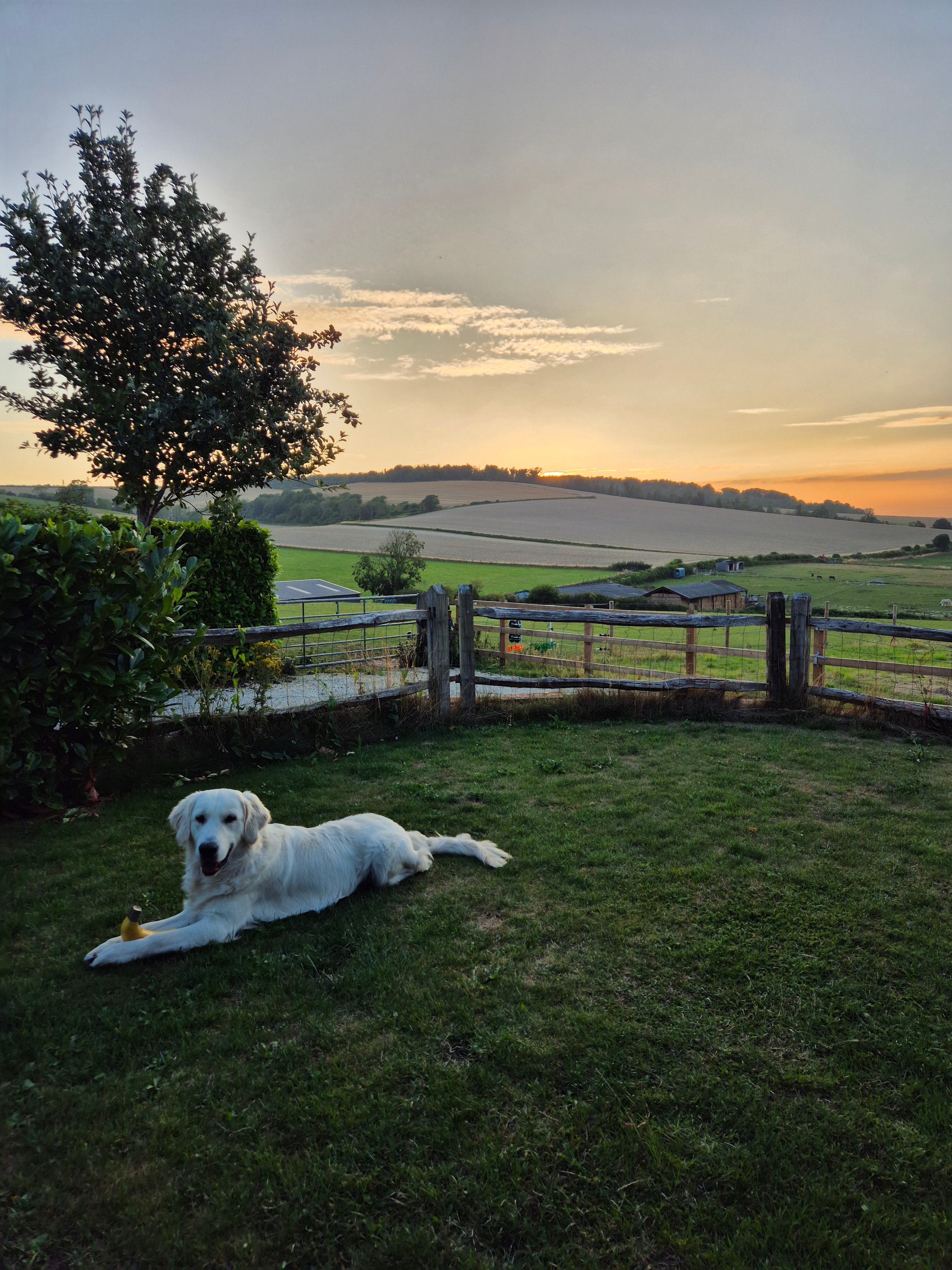 South Downs Hideaway